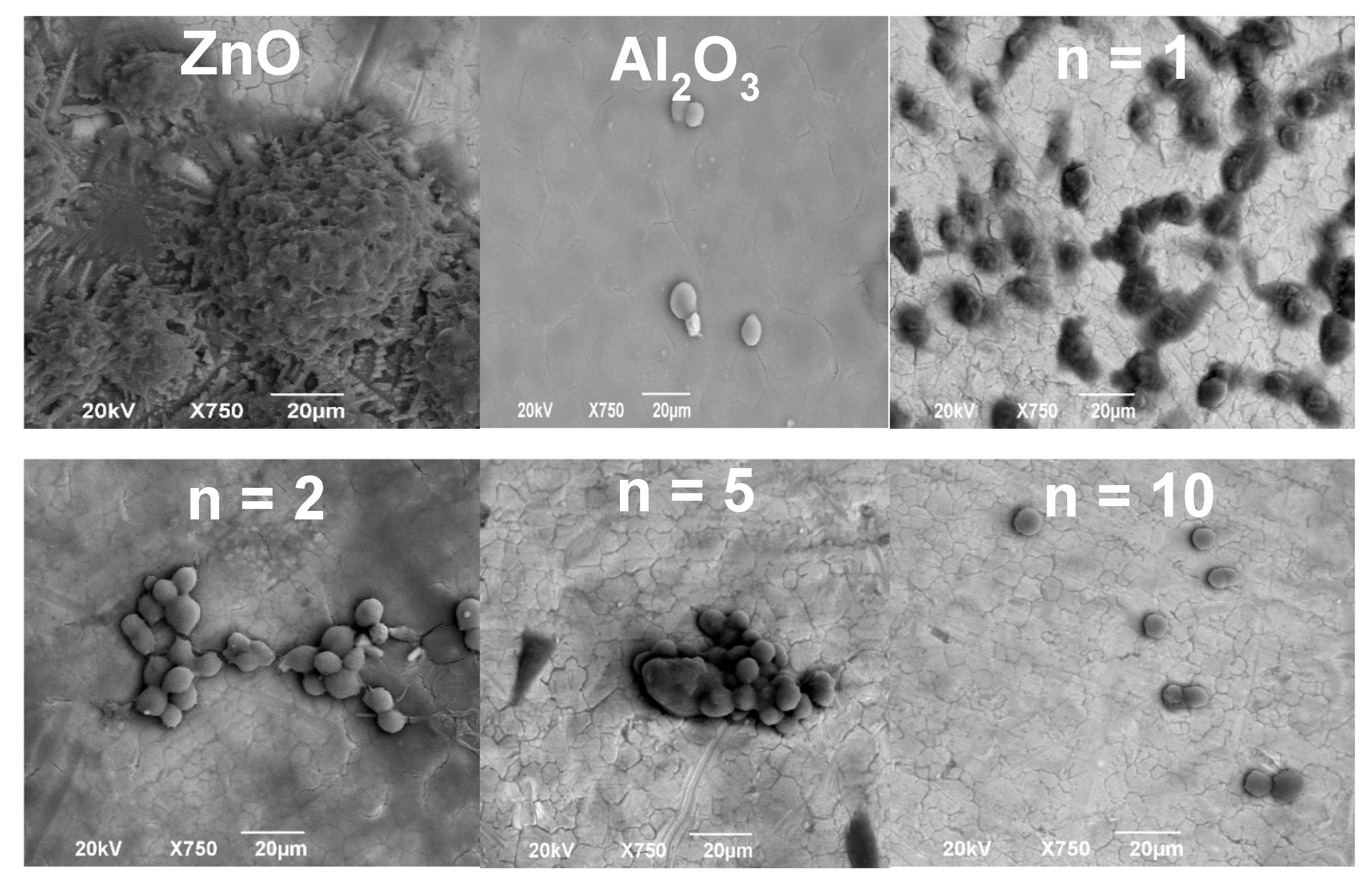 Crystals 10 00620 g010 Crystals 10 00620 g010