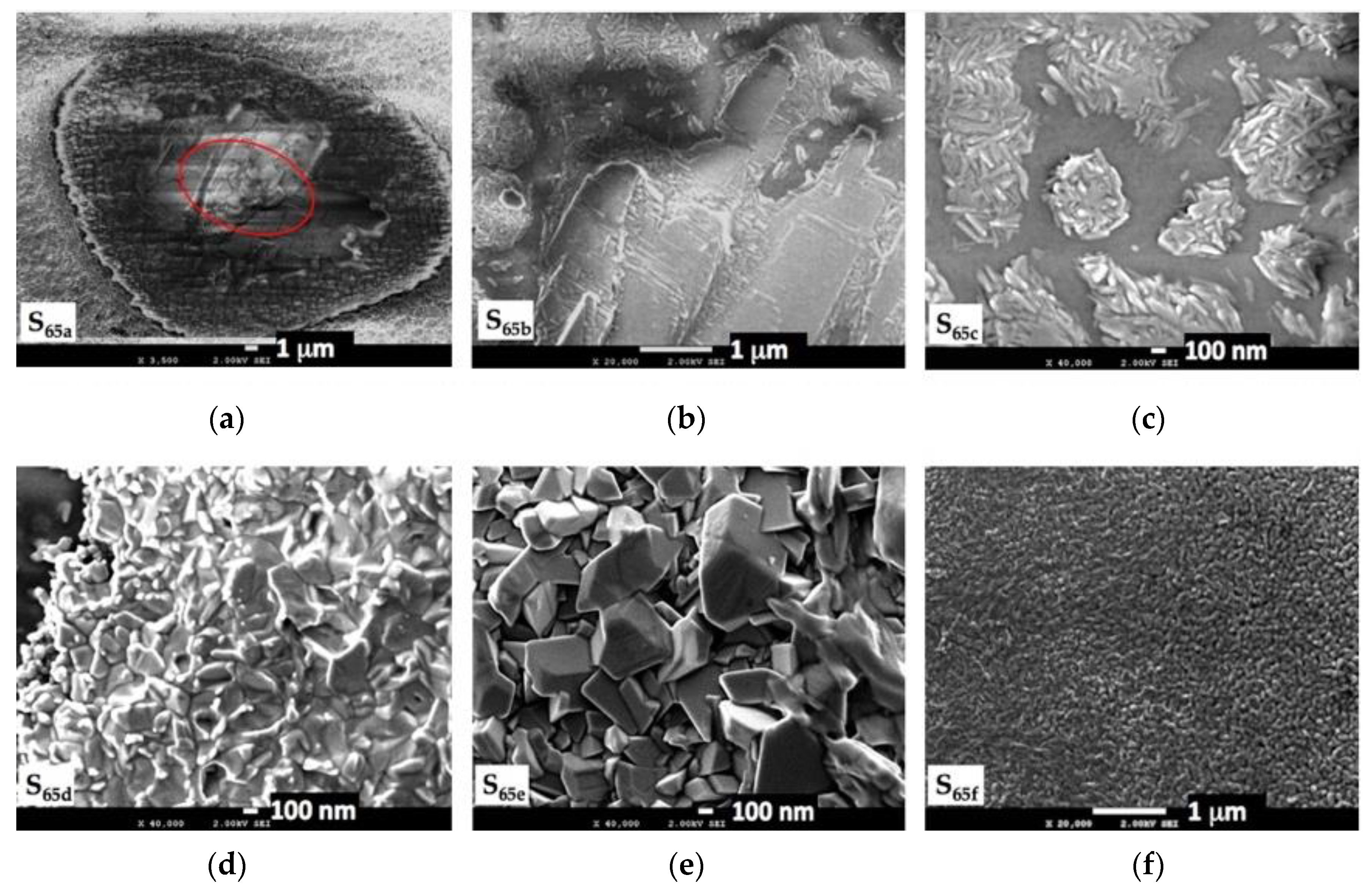 Crystals 10 00629 g011