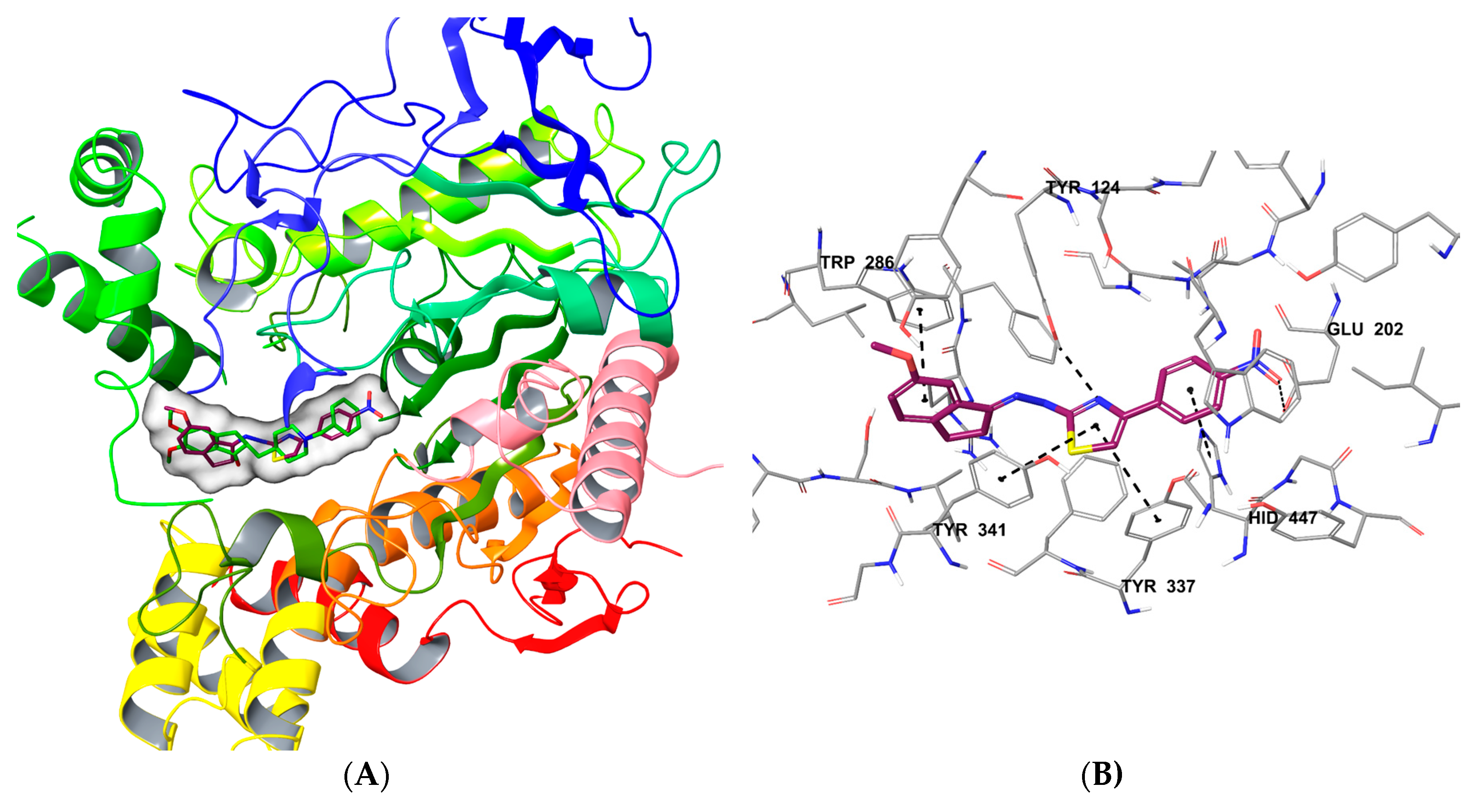 Crystals 10 00637 g005a