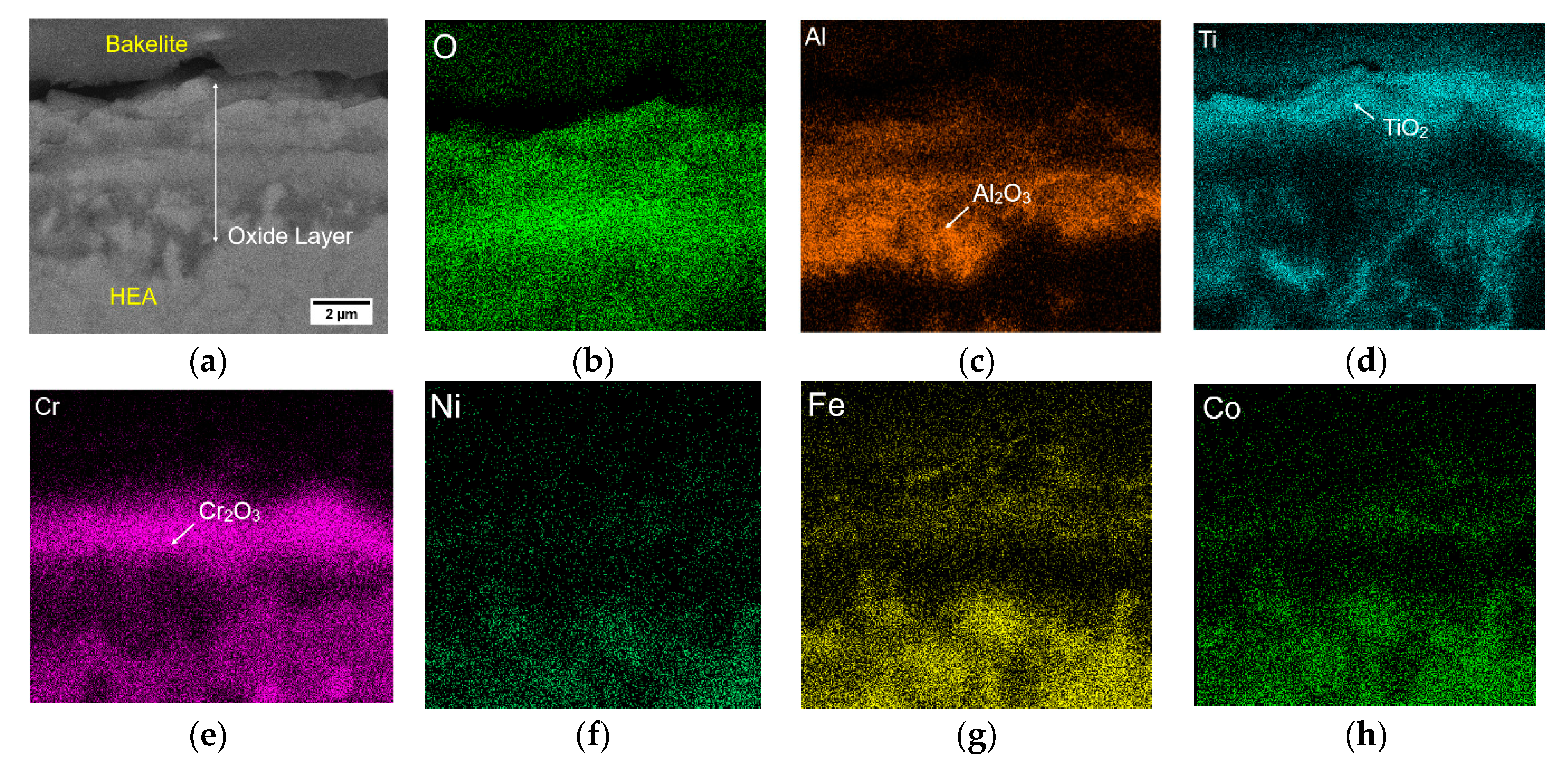 Crystals Free Full Text Laser Metal Deposition Of An Alcocrfeniti0 5 High Entropy Alloy Coating On A Ti6al4v Substrate Microstructure And Oxidation Behavior Html