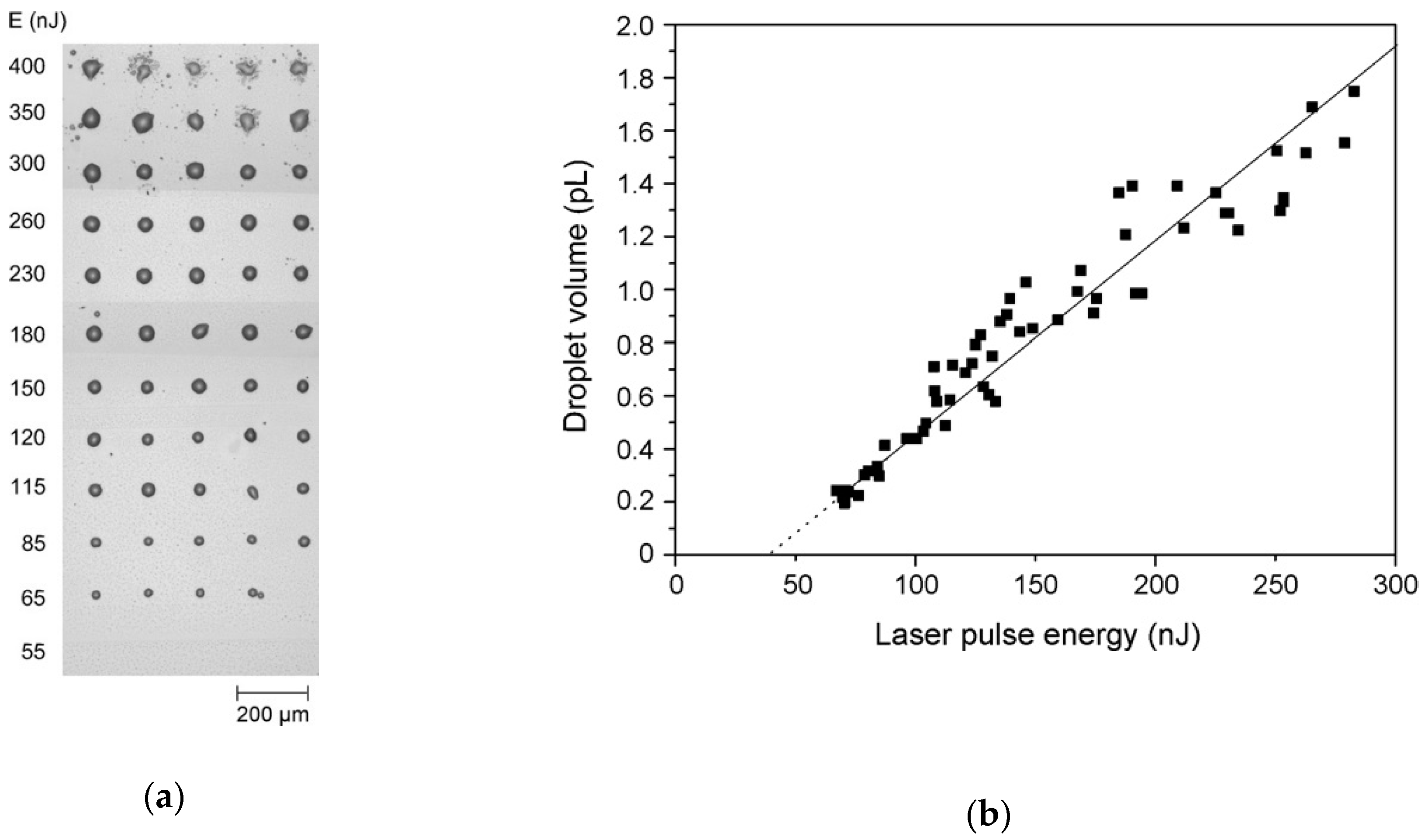 Crystals 10 00651 g004