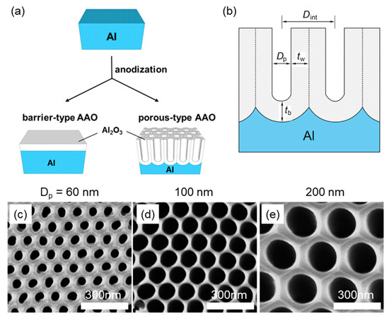 Orientation Control of Helical Nanofilament Phase and Its