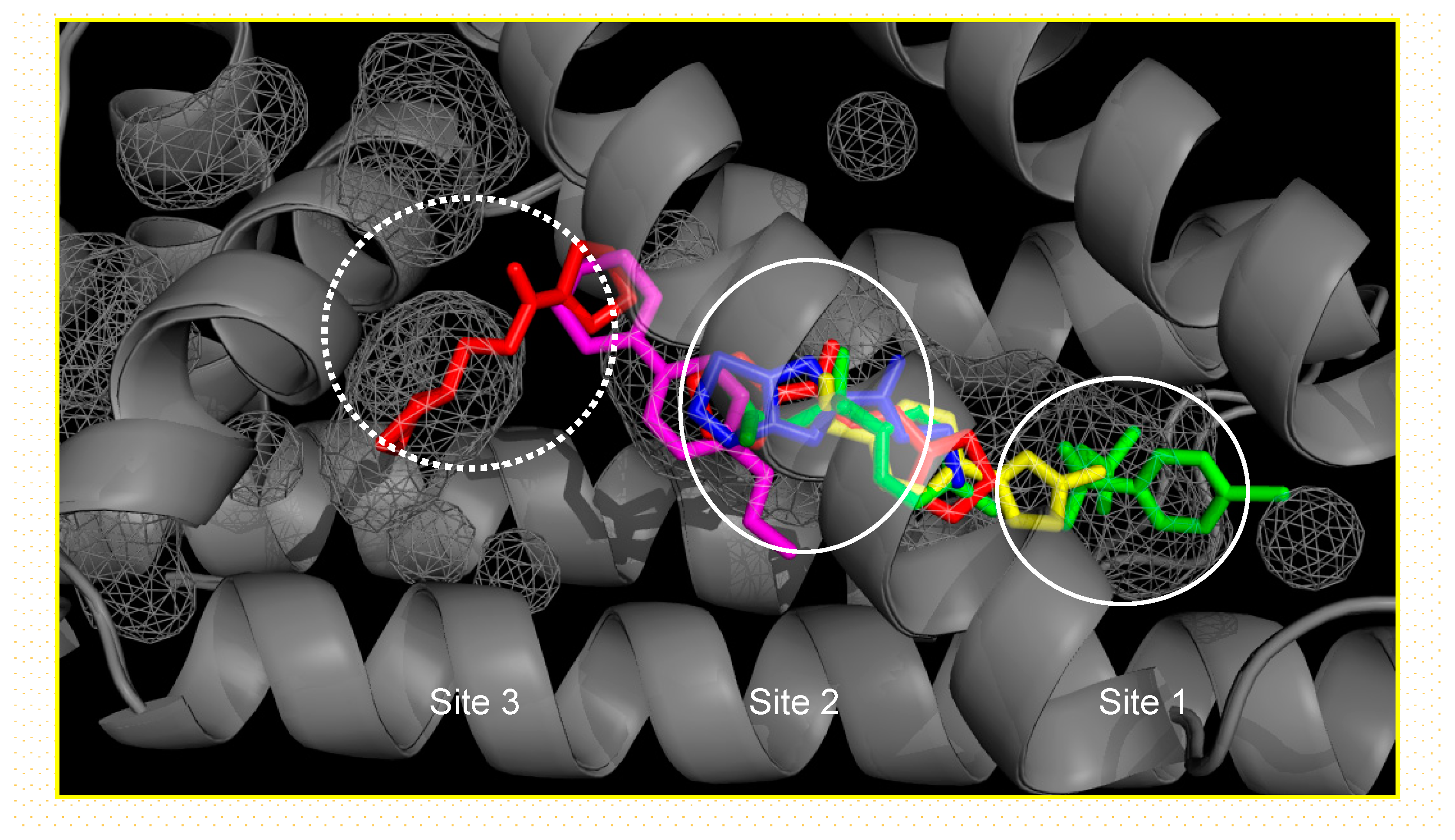 Crystals 10 00676 g007
