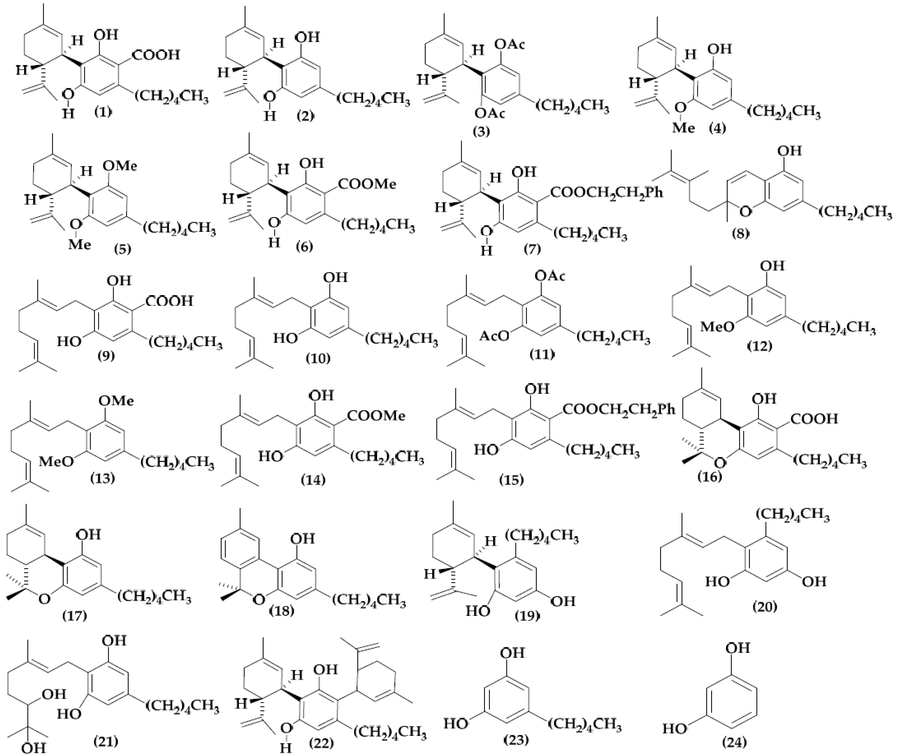 Crystals 10 00692 g001