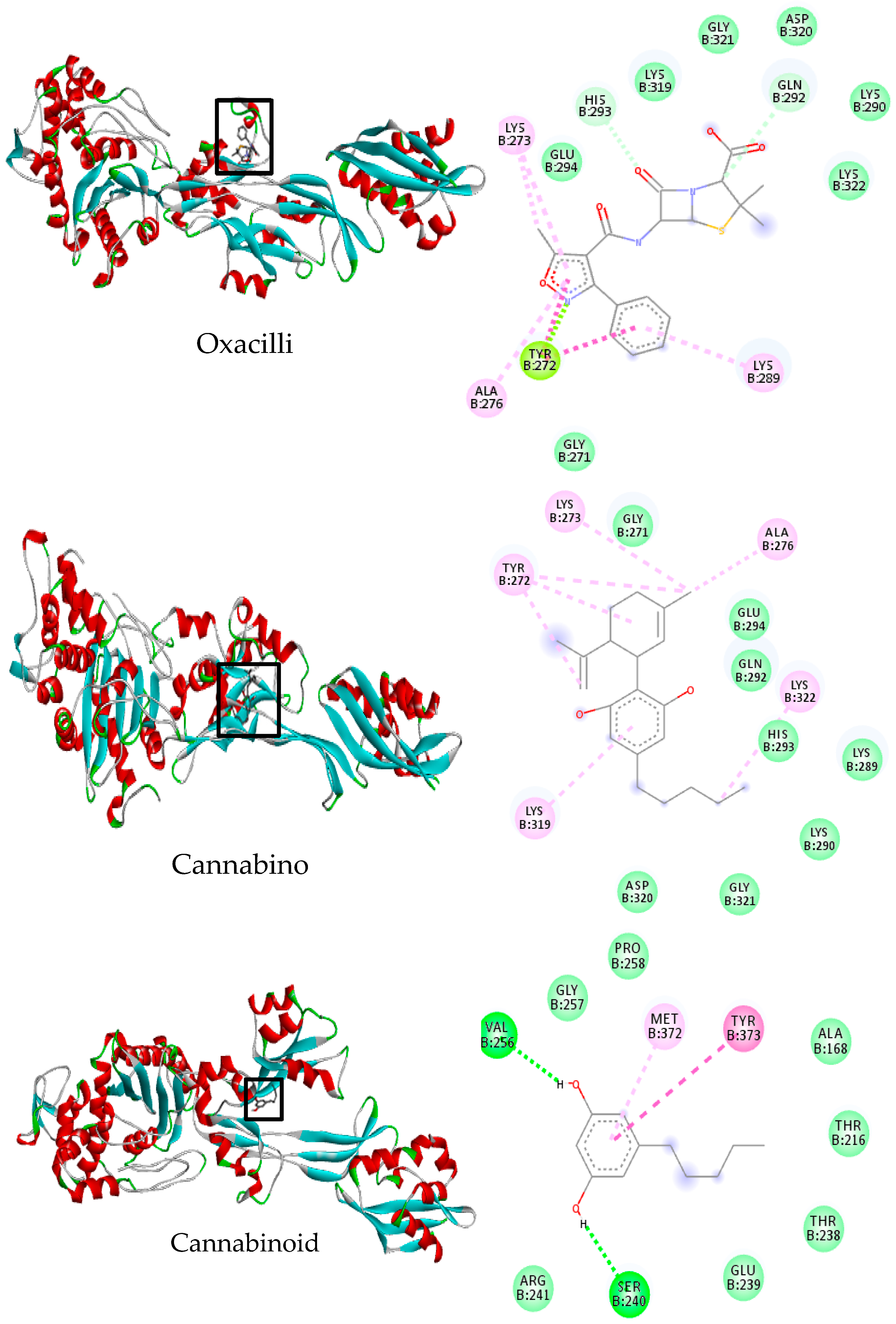 Crystals 10 00692 g004