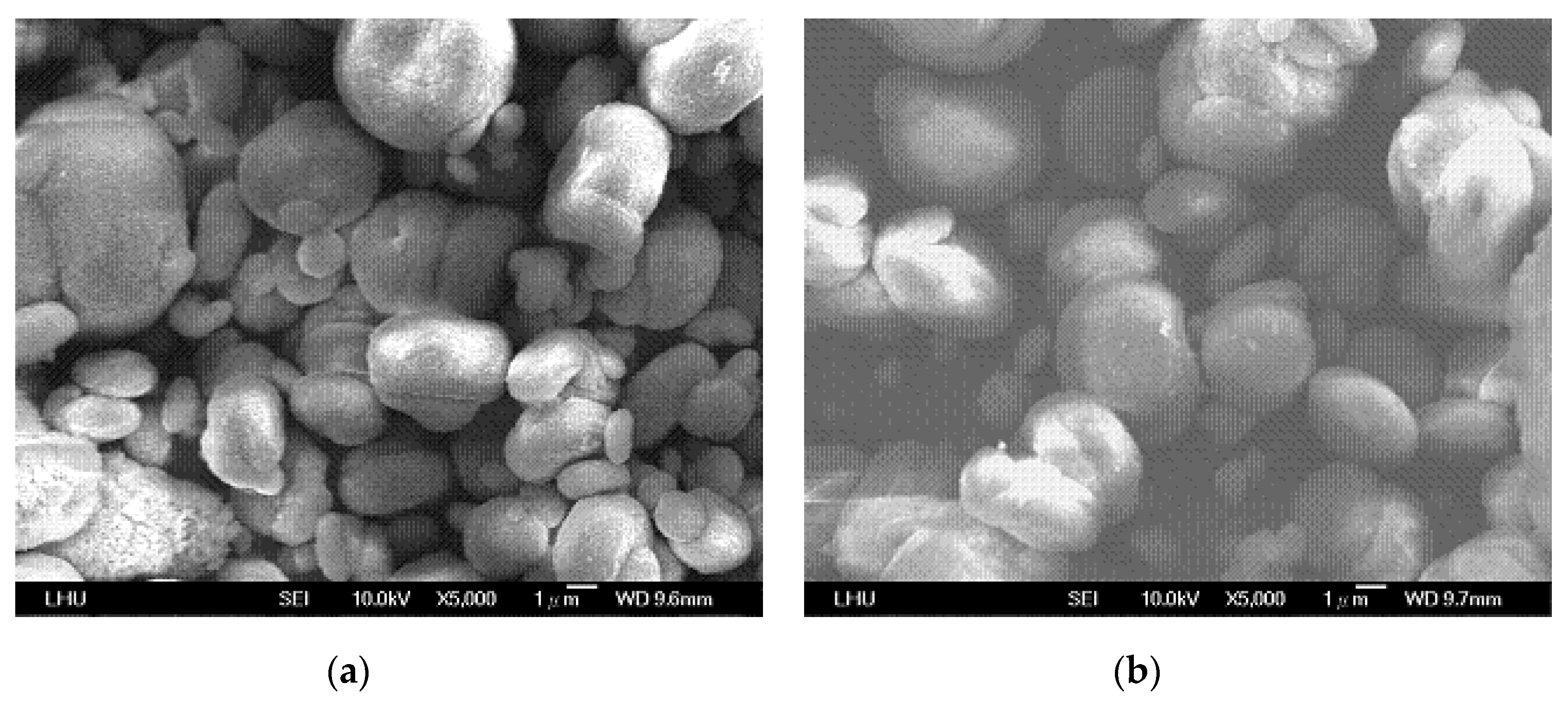 Crystals 10 00694 g005