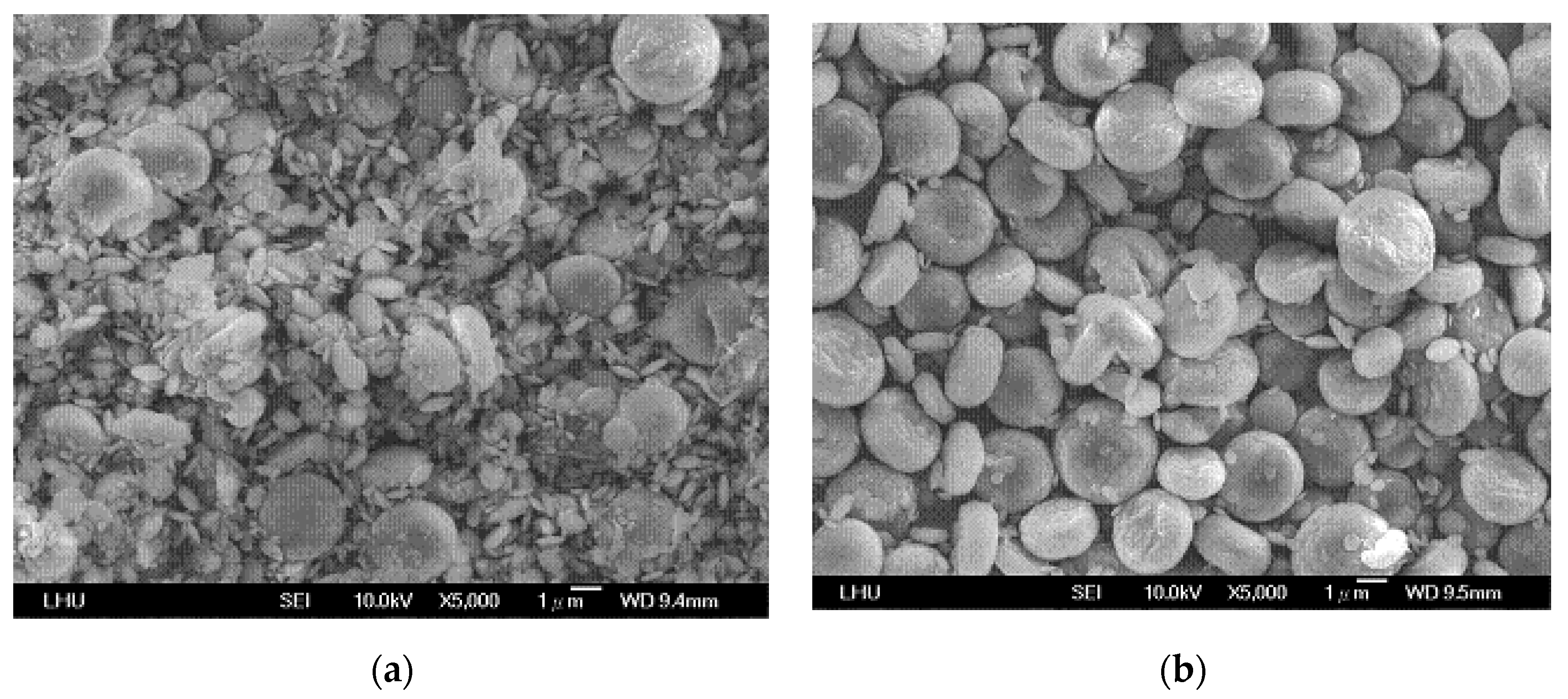 Crystals 10 00694 g006