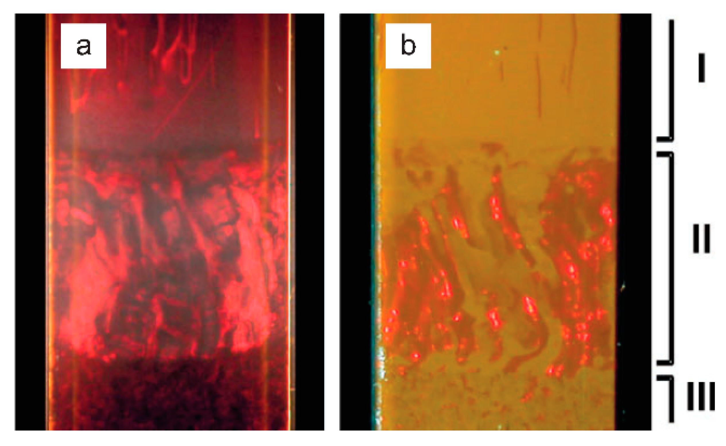 Crystals 10 00715 g005 Crystals 10 00715 g005