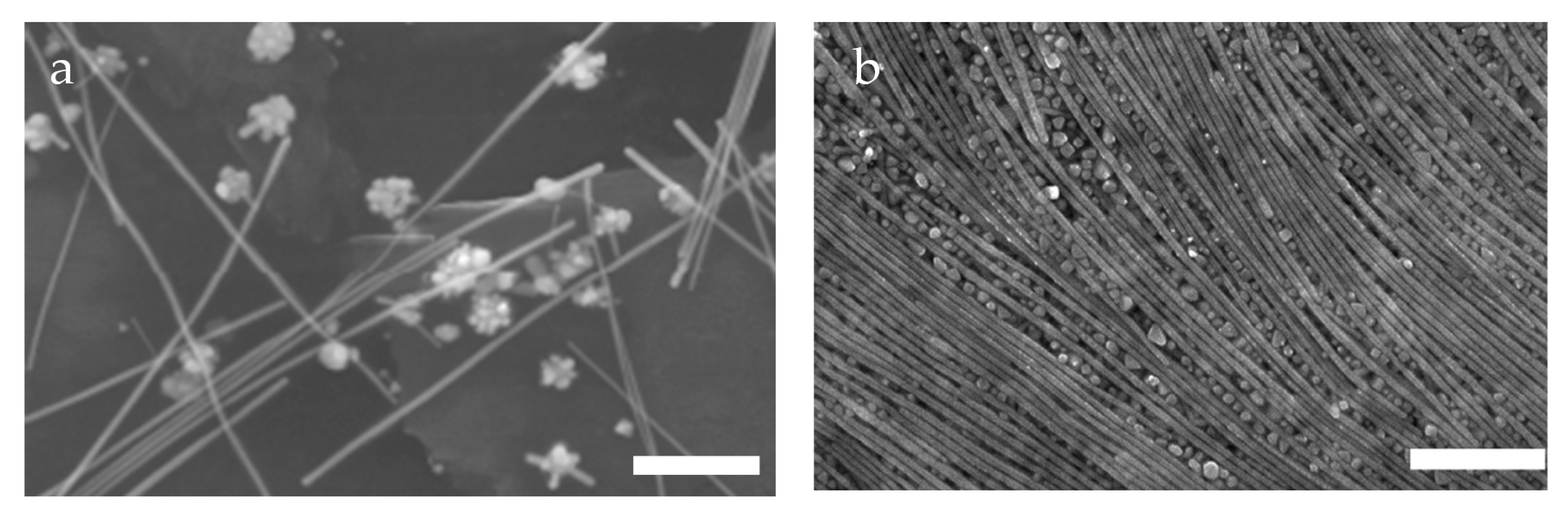 Crystals 10 00715 g012 Crystals 10 00715 g012