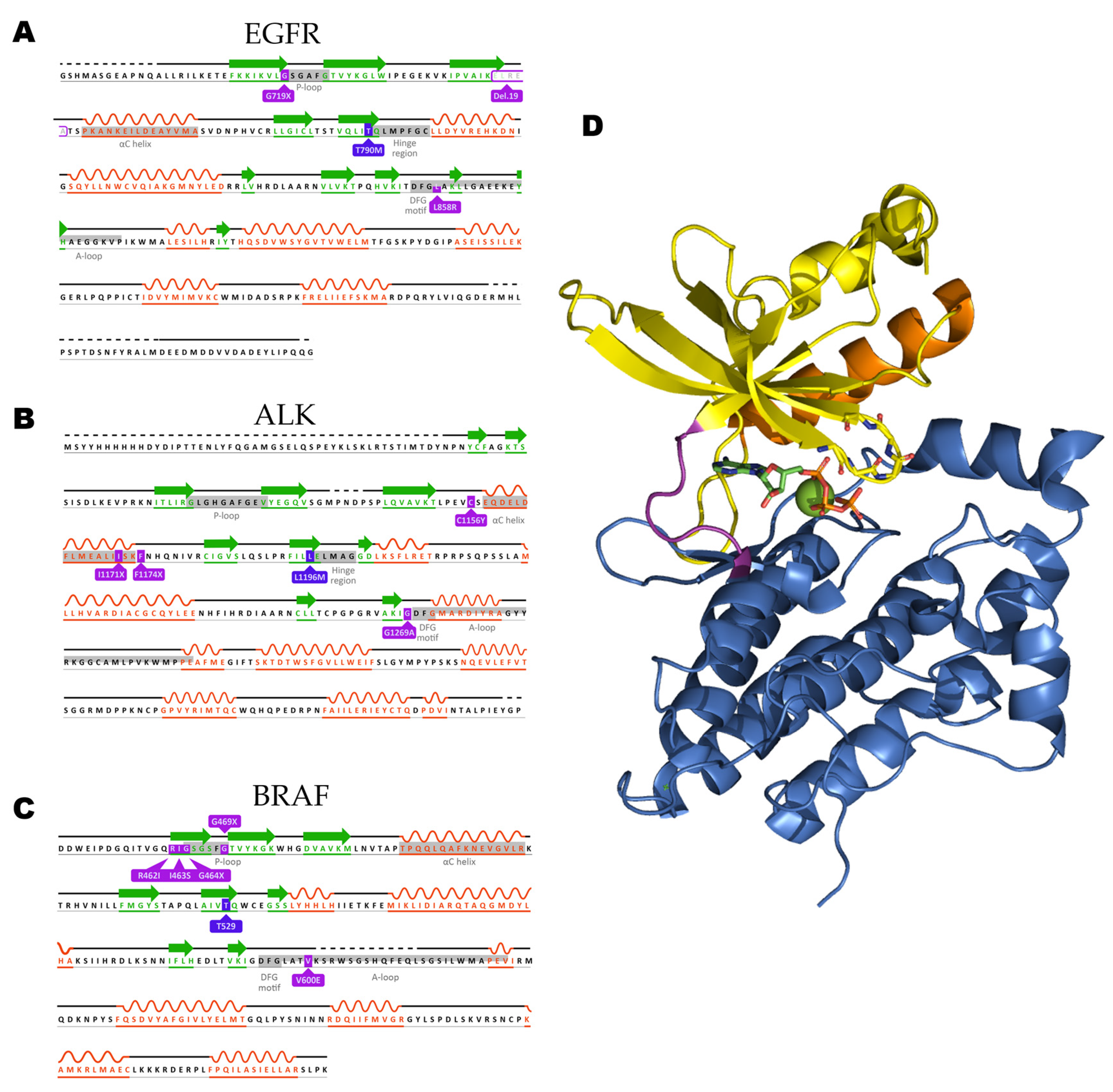 Making NSCLC Crystal Clear: How Kinase Structures