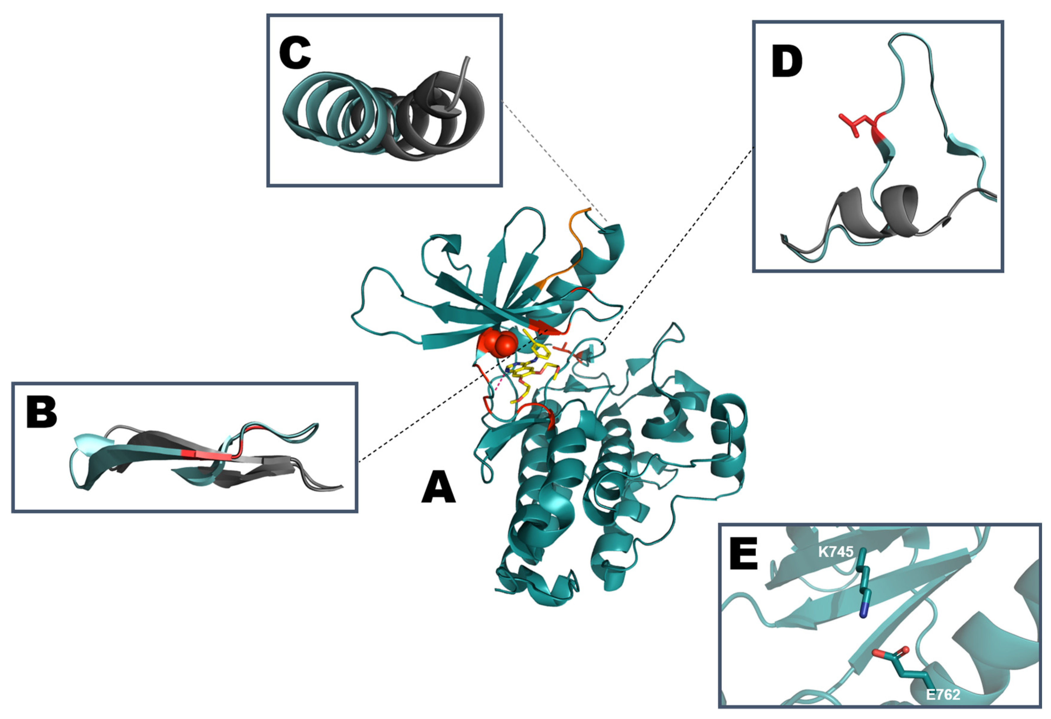 Making NSCLC Crystal Clear: How Kinase Structures