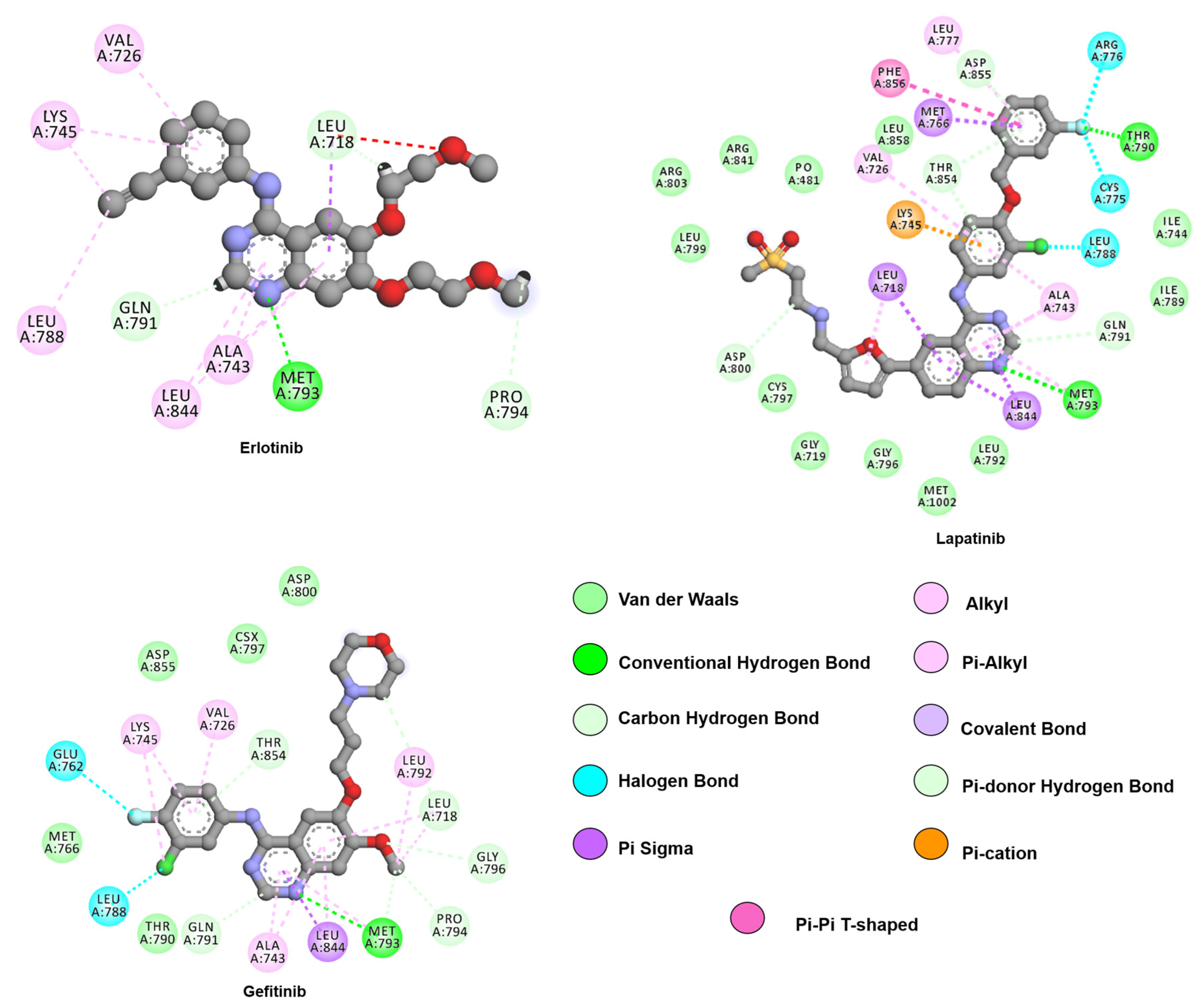 Making NSCLC Crystal Clear: How Kinase Structures