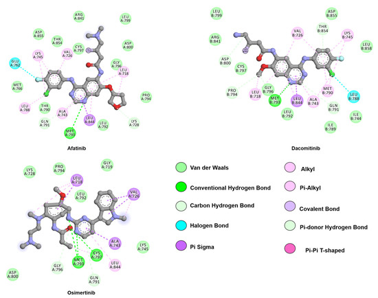 Making NSCLC Crystal Clear: How Kinase Structures