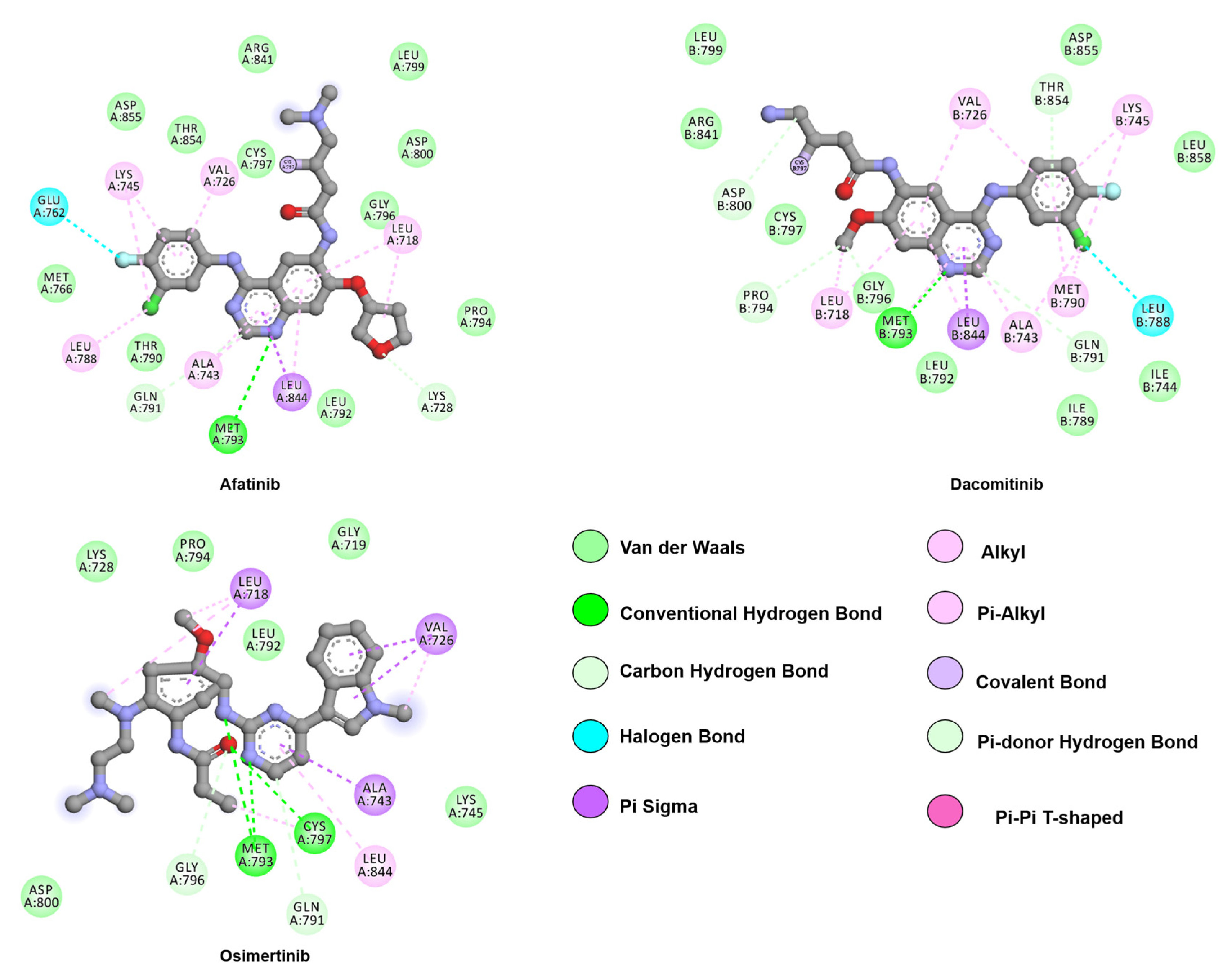 Crystals 10 00725 g005 Crystals 10 00725 g005