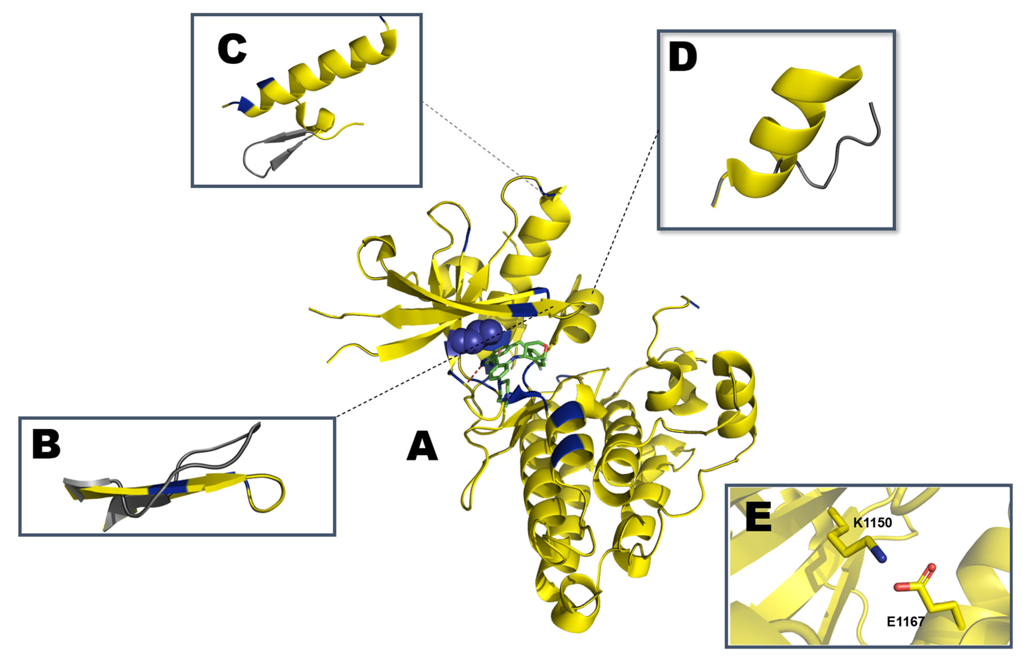 Crystals 10 00725 g006 Crystals 10 00725 g006