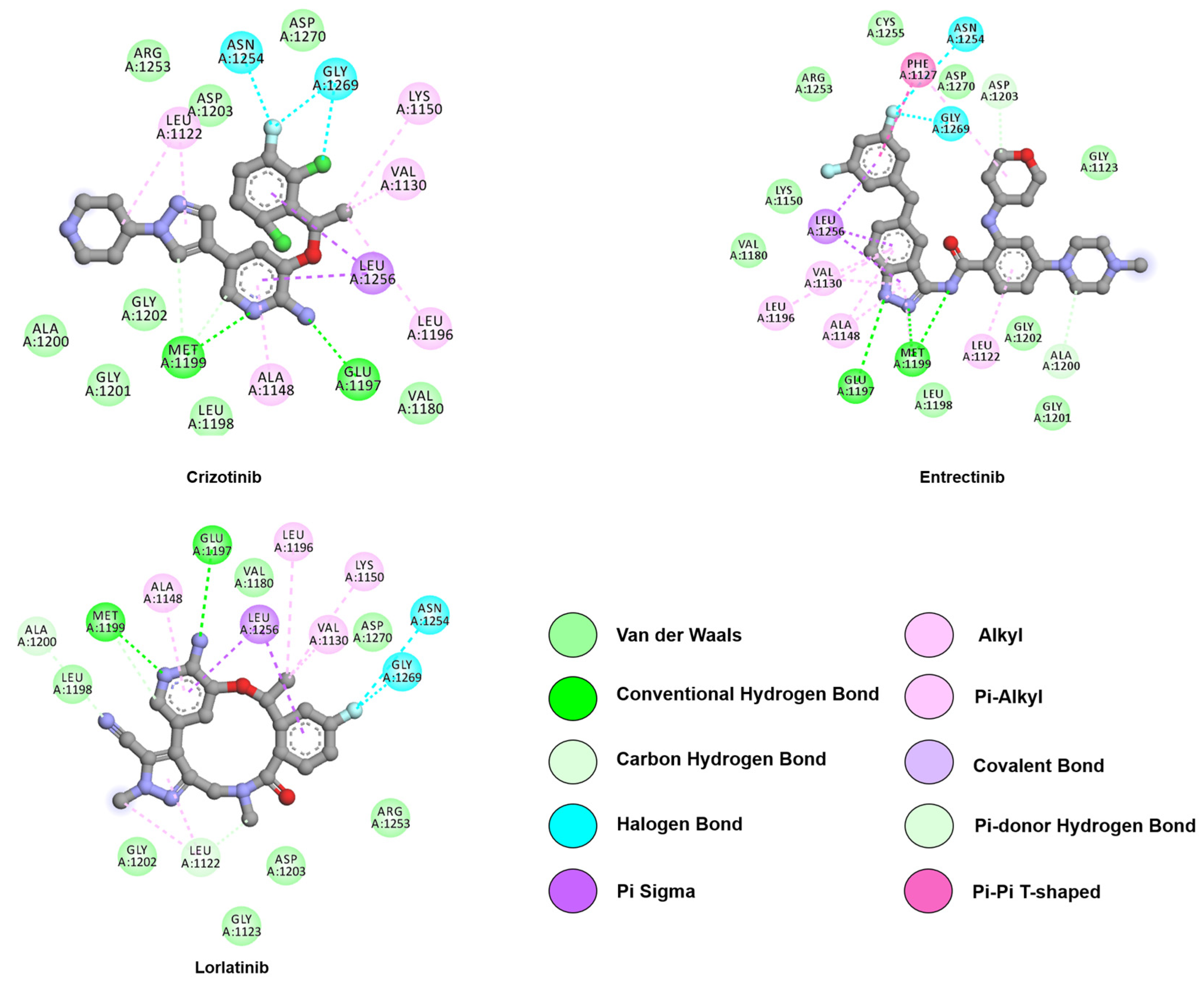 Crystals 10 00725 g007 Crystals 10 00725 g007