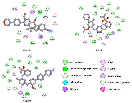 Making NSCLC Crystal Clear: How Kinase Structures Revolutionized