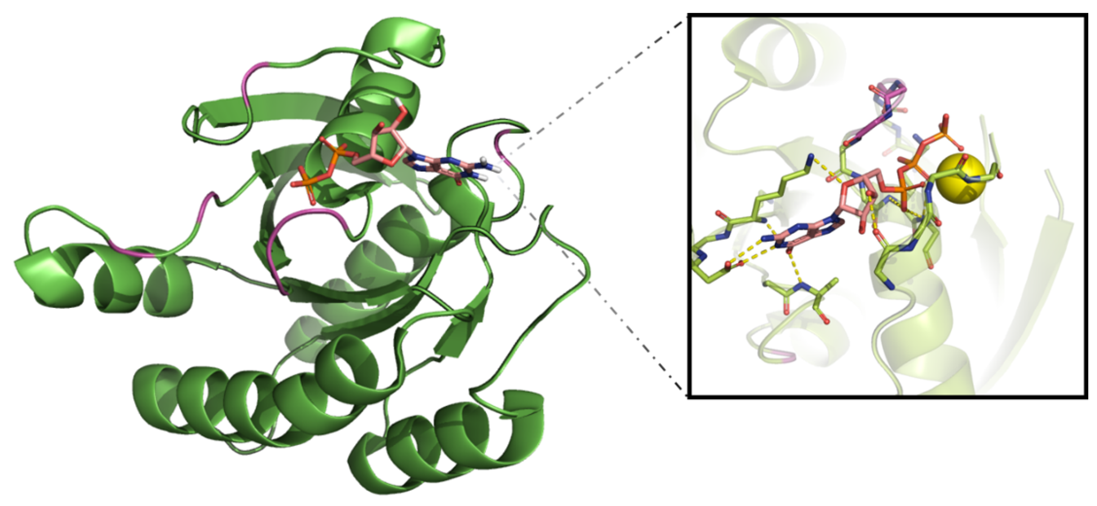 Crystals 10 00725 g011 Crystals 10 00725 g011