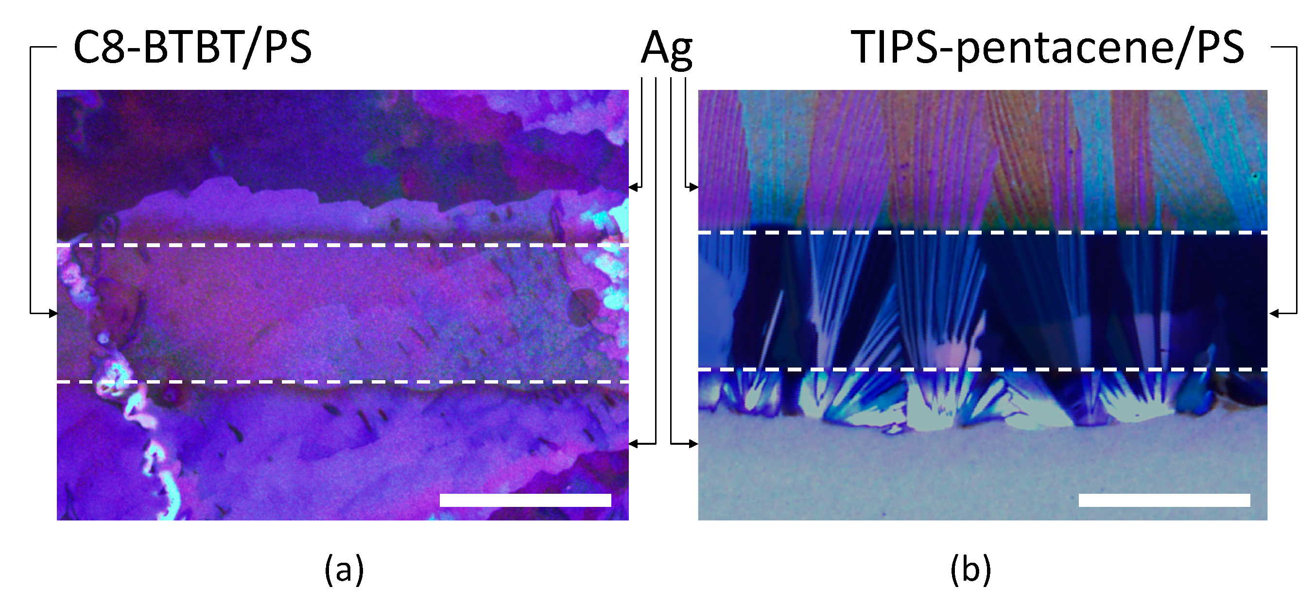 Crystals 10 00727 g003