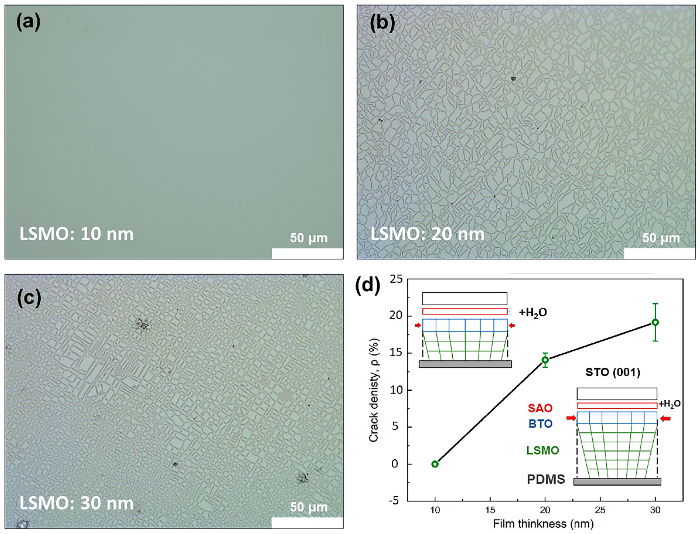 Crystals 10 00733 g004