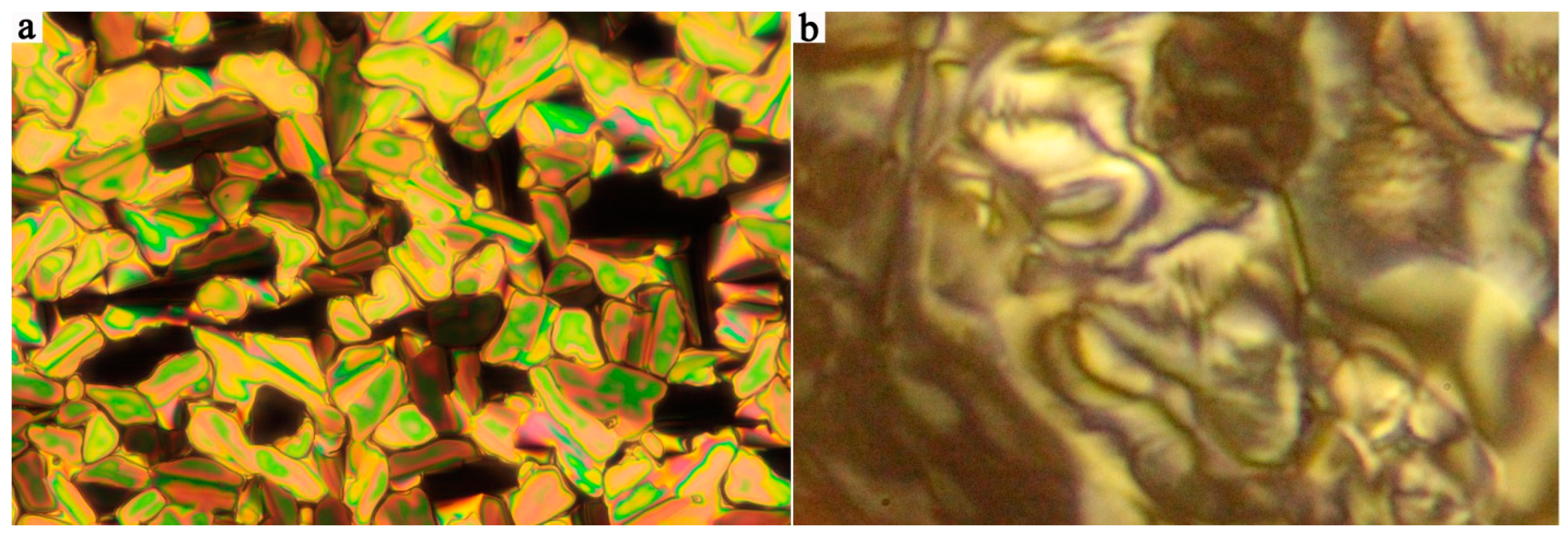 Crystals 10 00735 g002