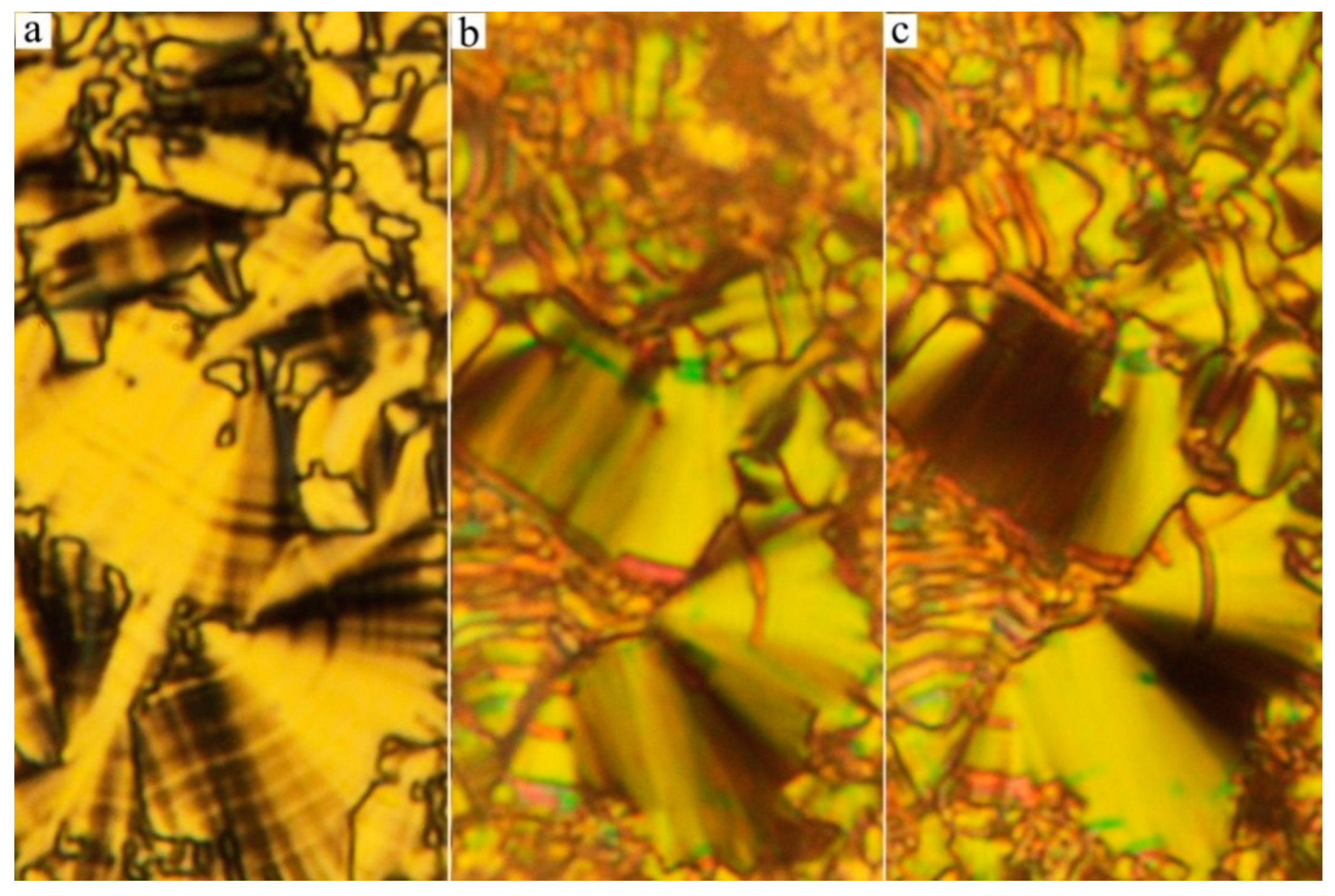 Crystals 10 00735 g003