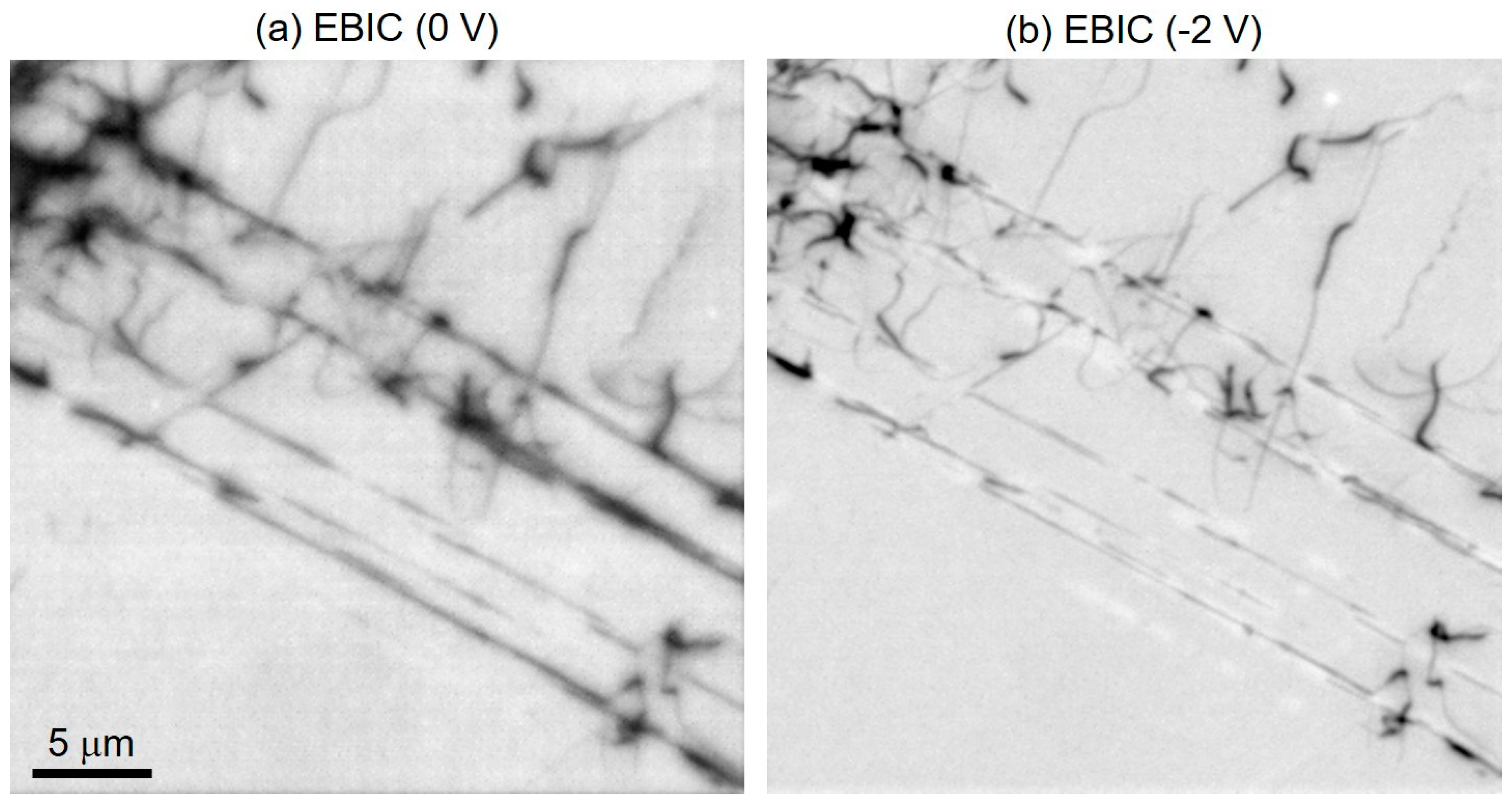 Crystals 10 00736 g003 Crystals 10 00736 g003