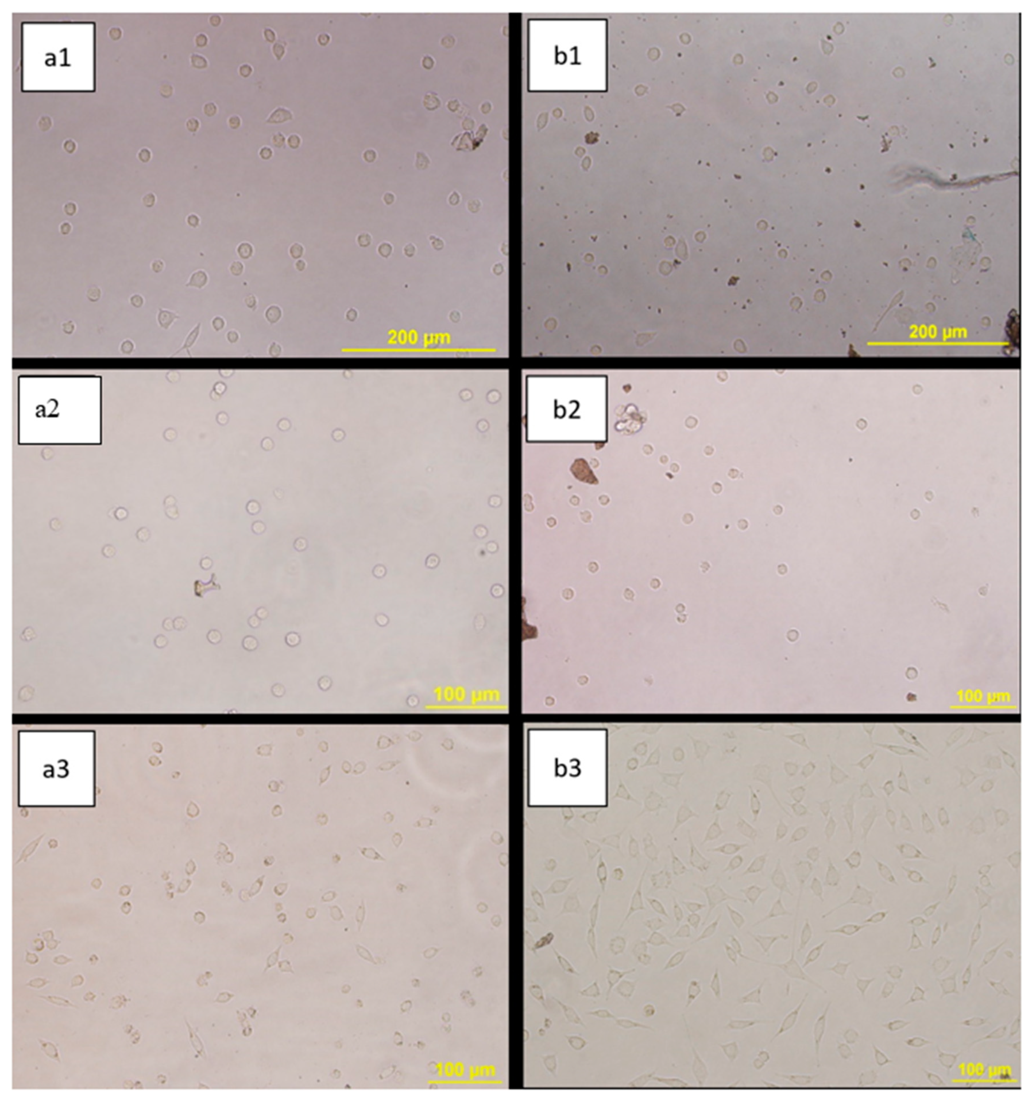 Crystals 10 00746 g012 Crystals 10 00746 g012