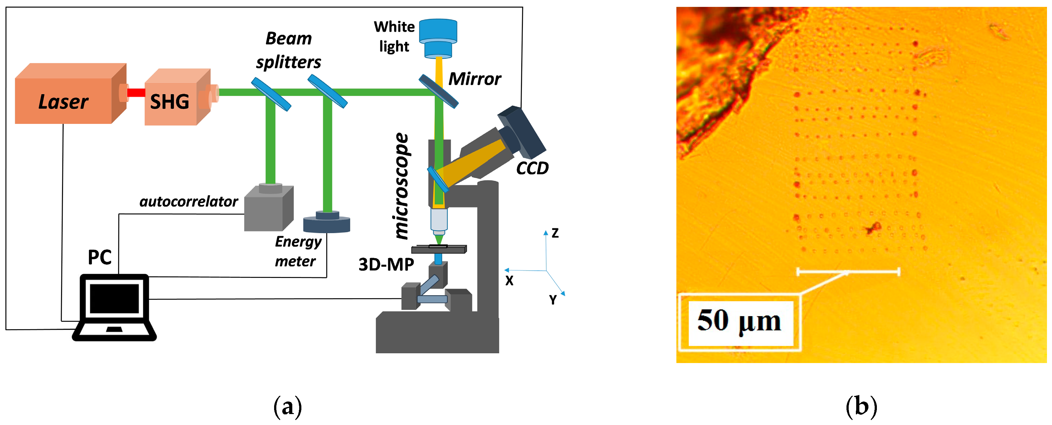 Crystals 10 00754 g001