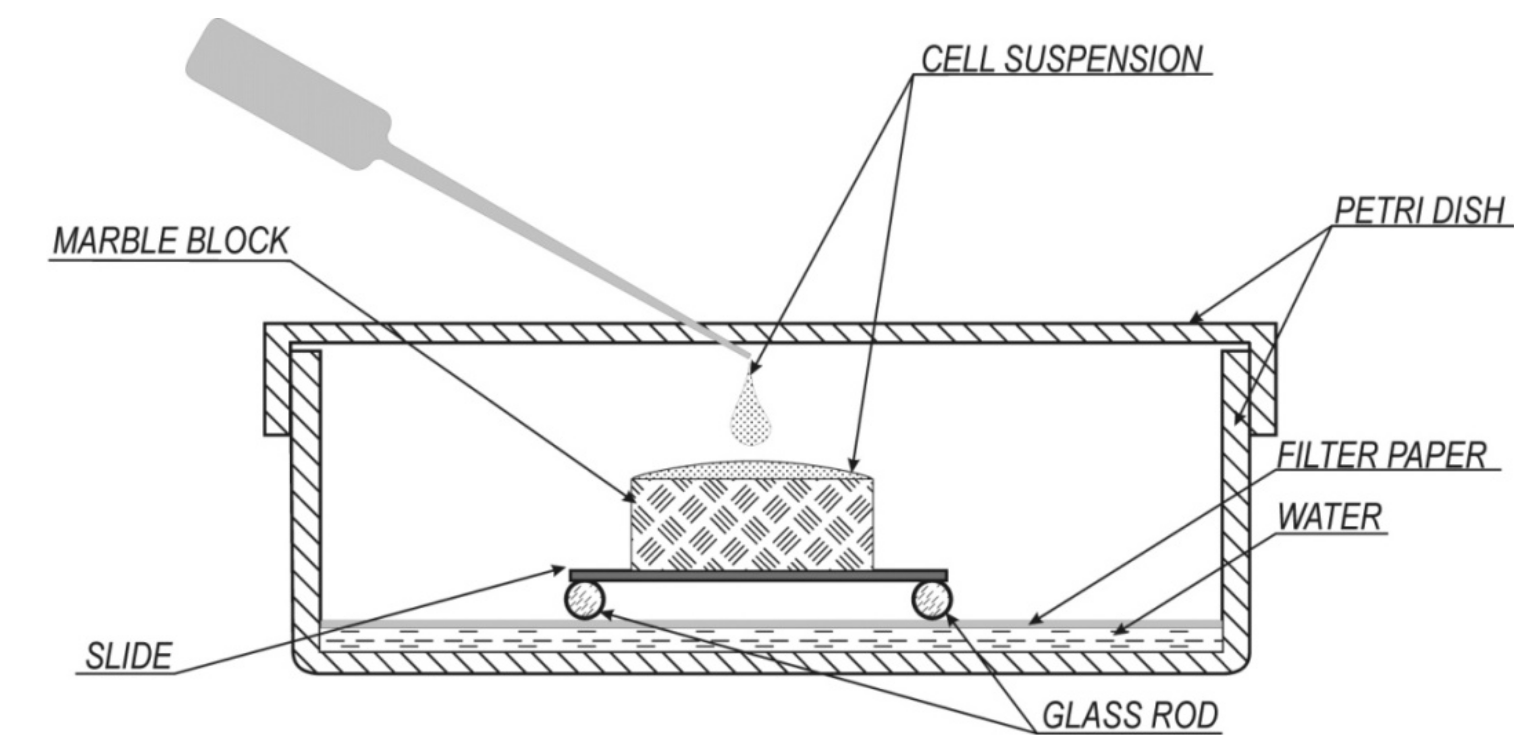 Crystals 10 00756 g001 Crystals 10 00756 g001
