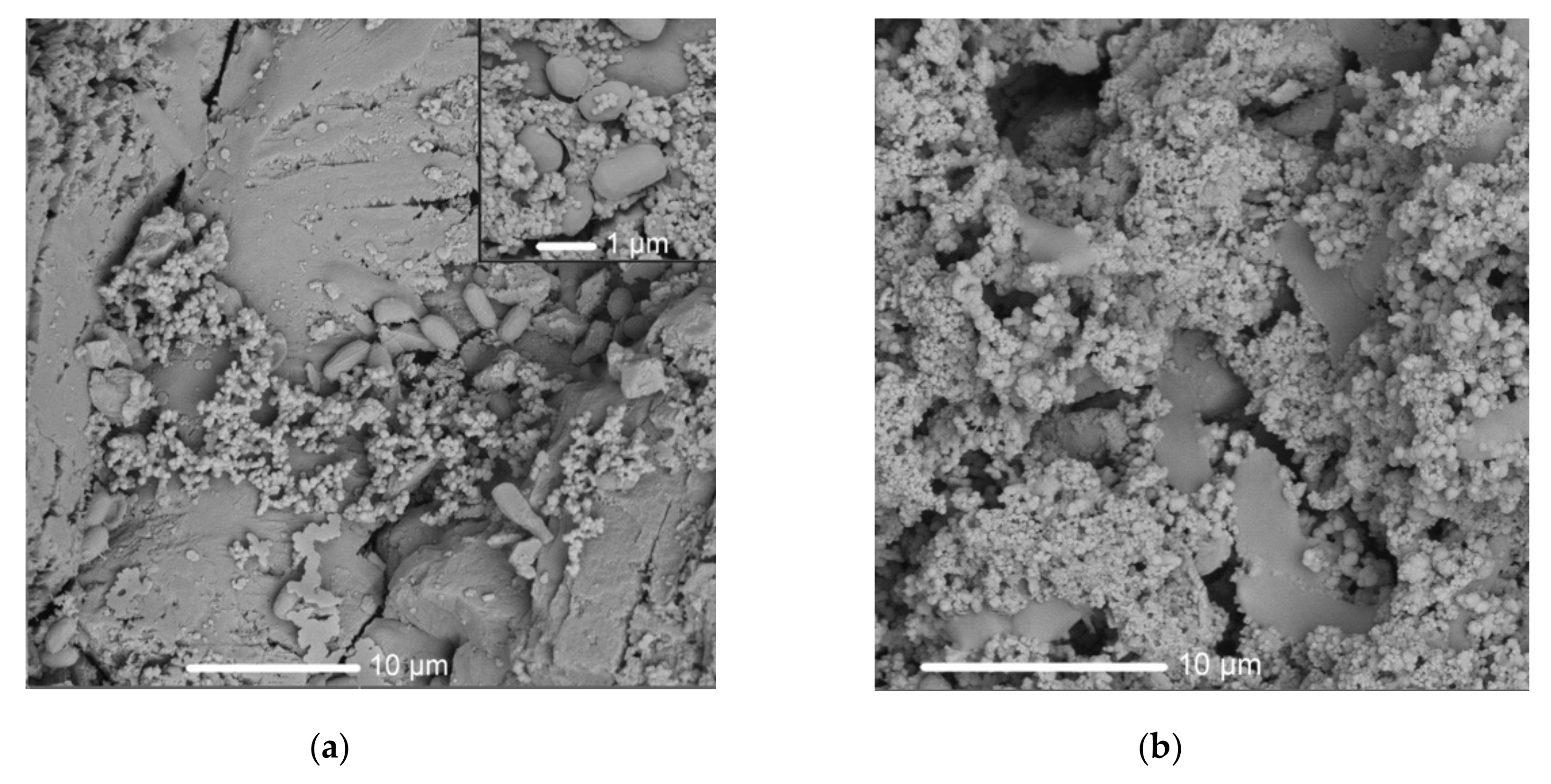 Crystals 10 00756 g003 Crystals 10 00756 g003