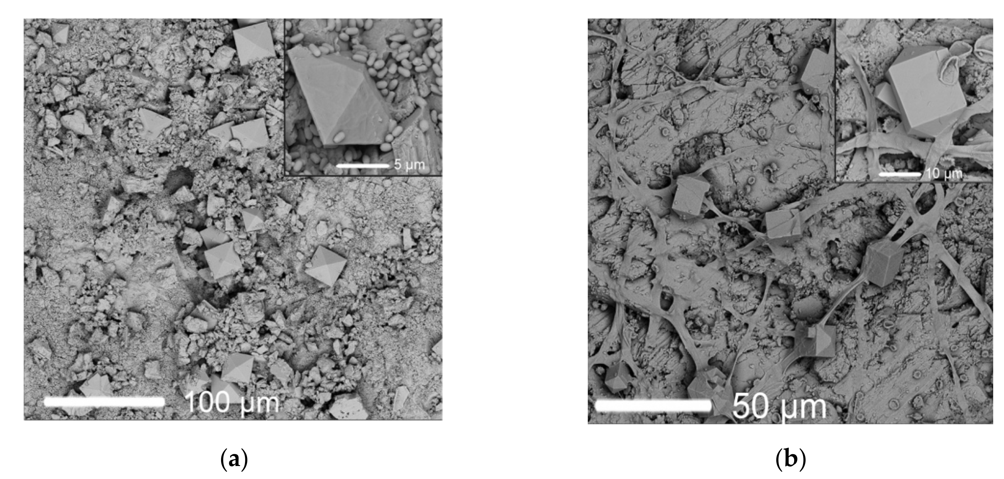 Crystals 10 00756 g005 Crystals 10 00756 g005