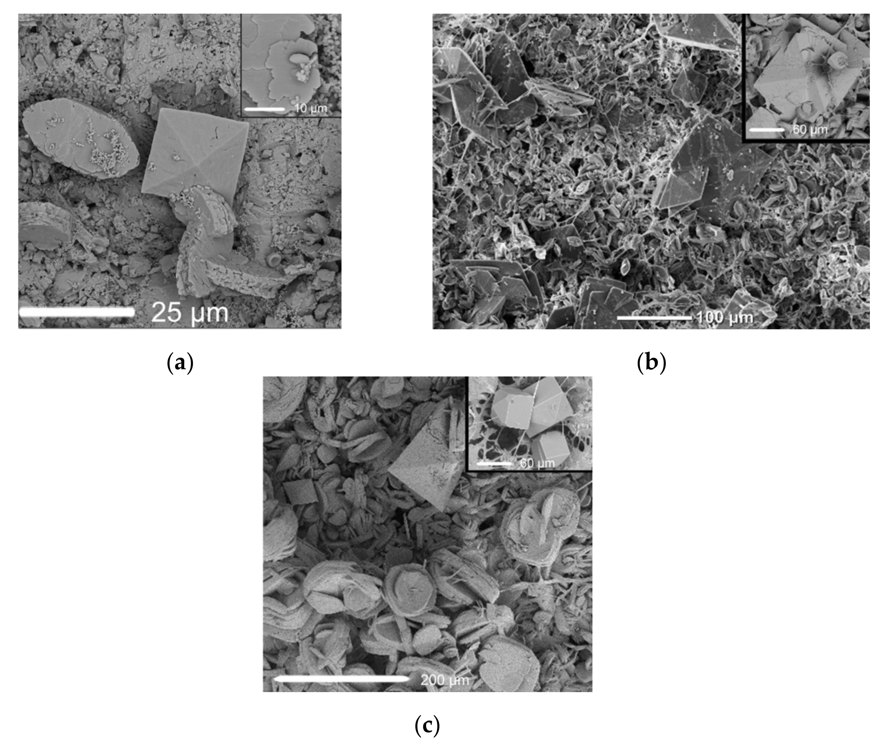 Crystals 10 00756 g006 Crystals 10 00756 g006