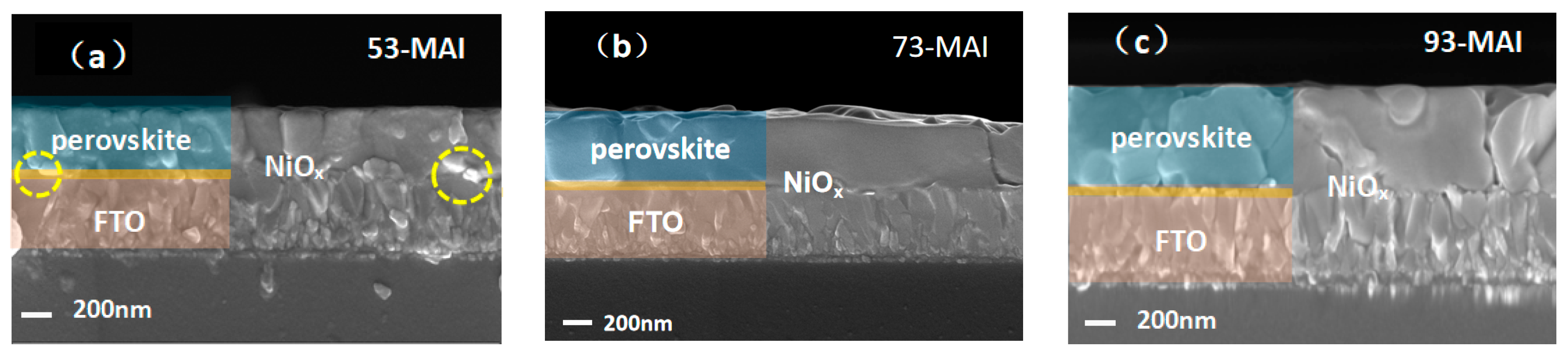 Crystals 10 00761 g005 Crystals 10 00761 g005