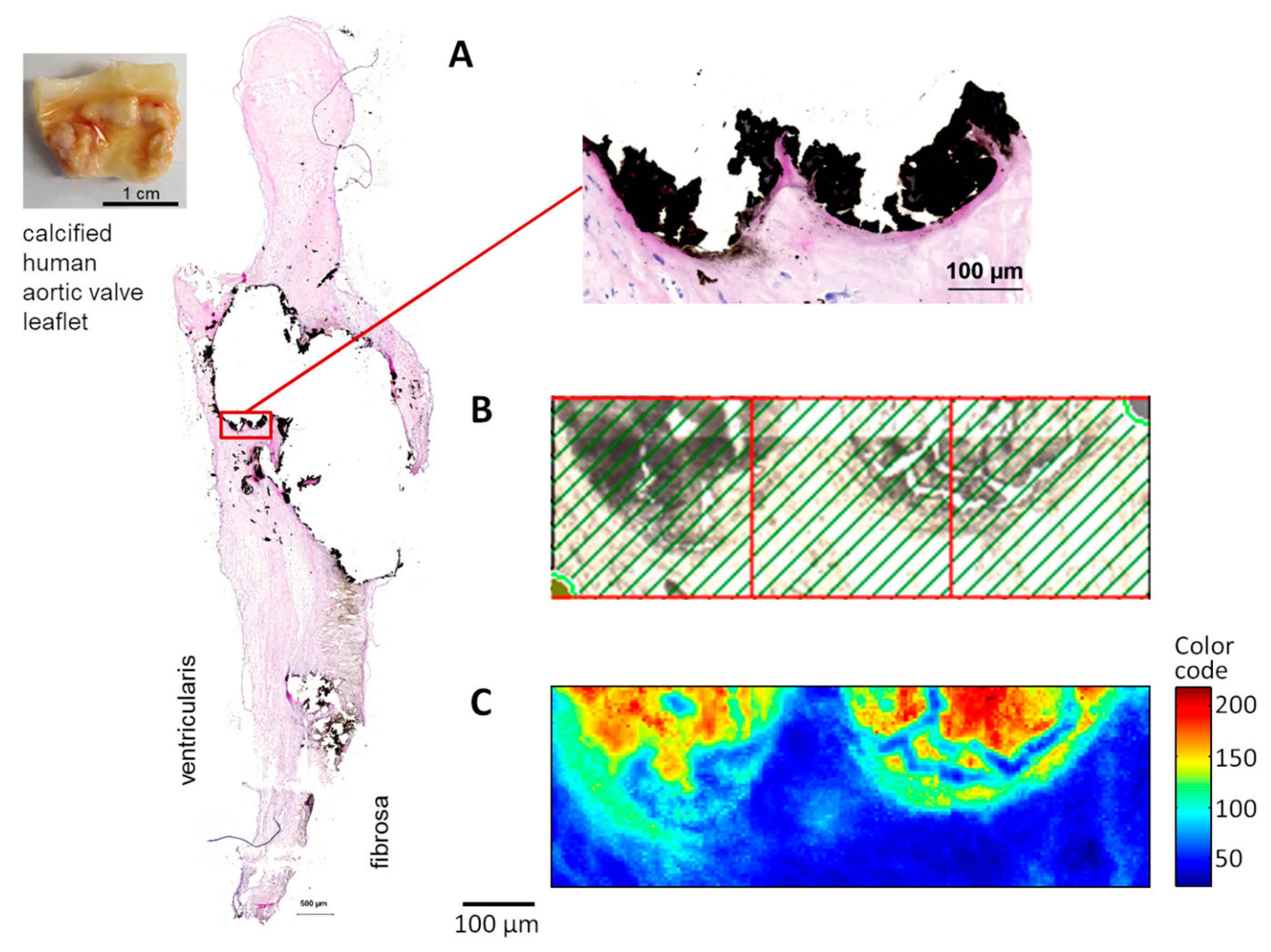 Crystals 10 00763 g001