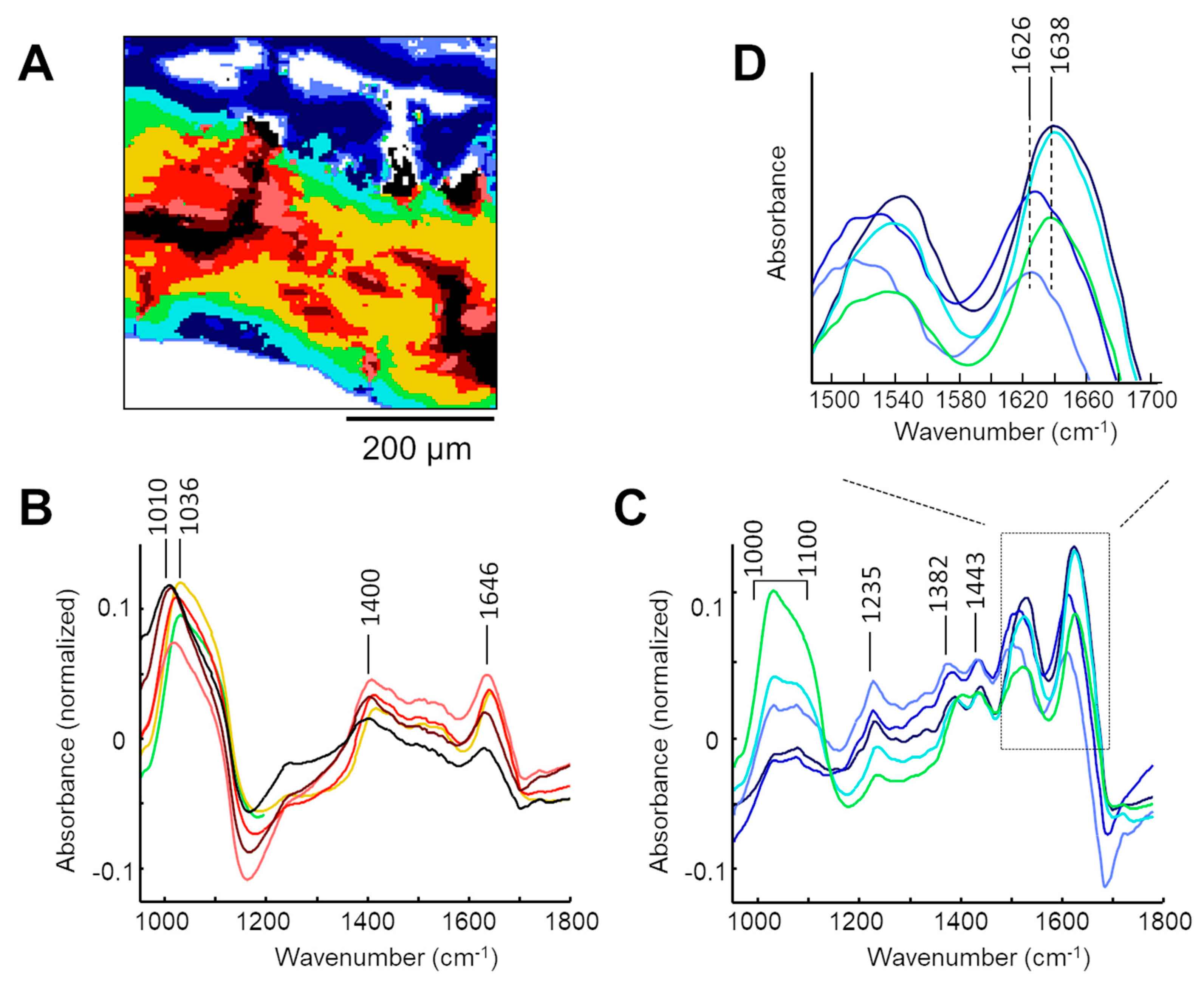 Crystals 10 00763 g005