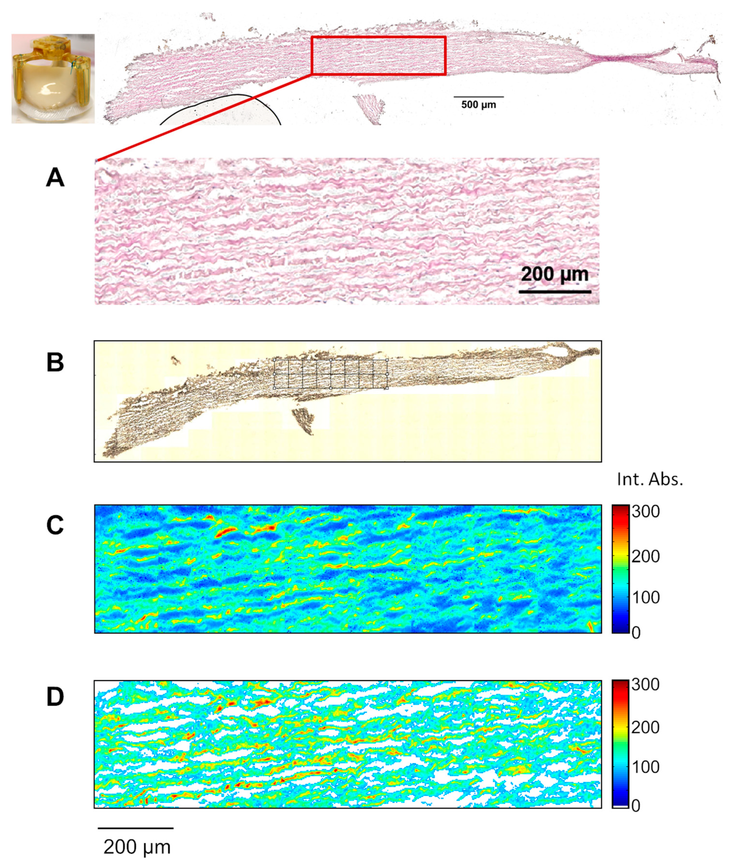 Crystals 10 00763 g006