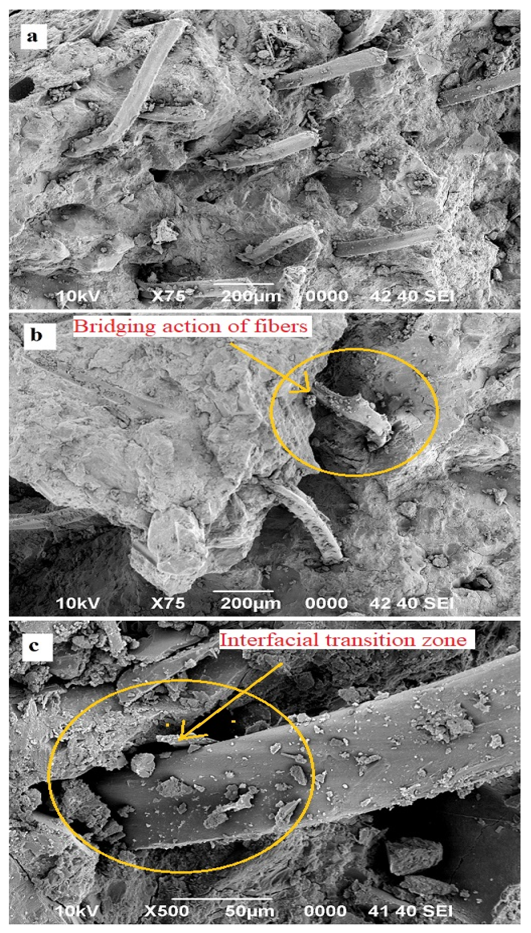 Crystals 10 00788 g012