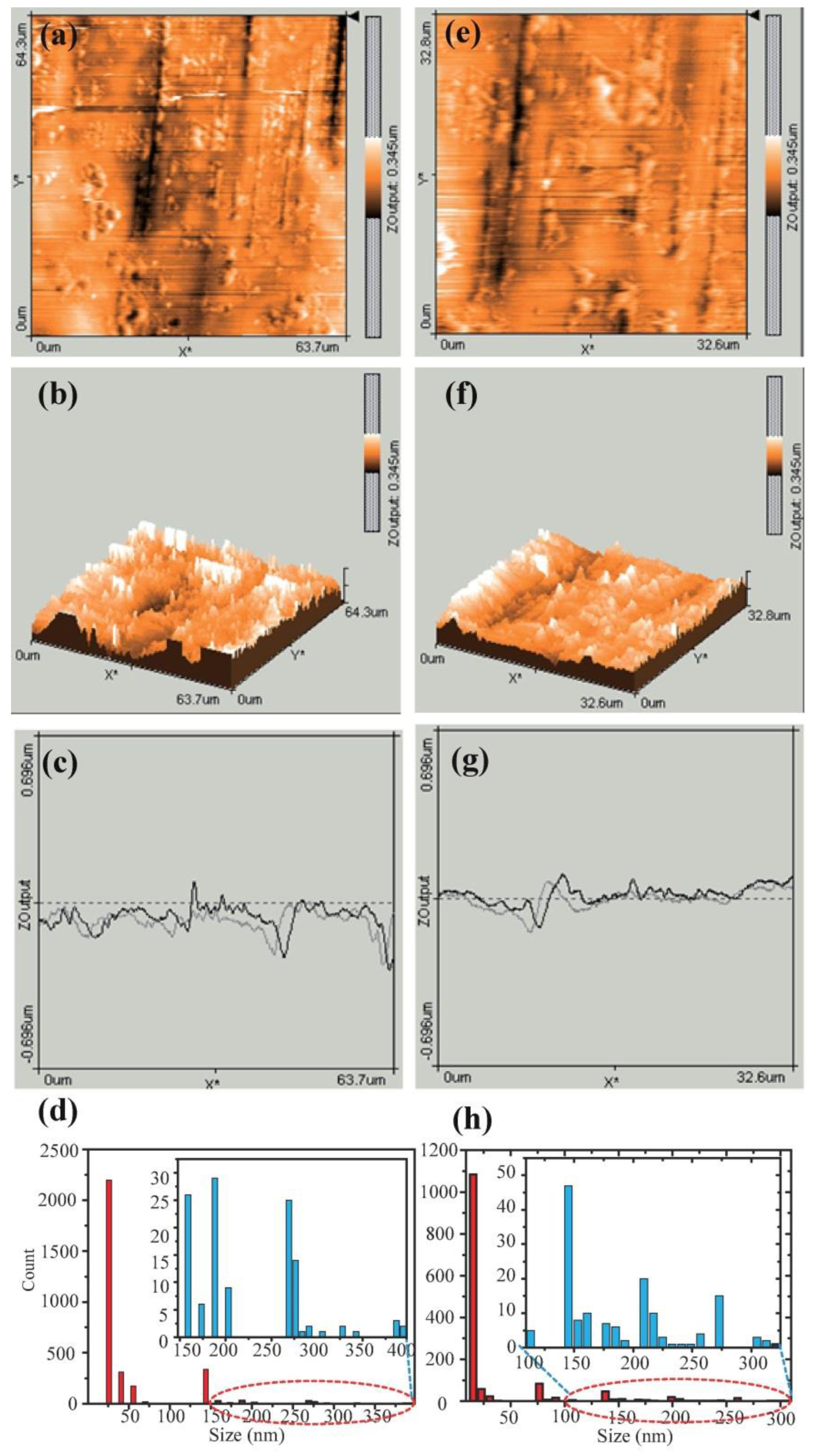 Crystals 10 00796 g005