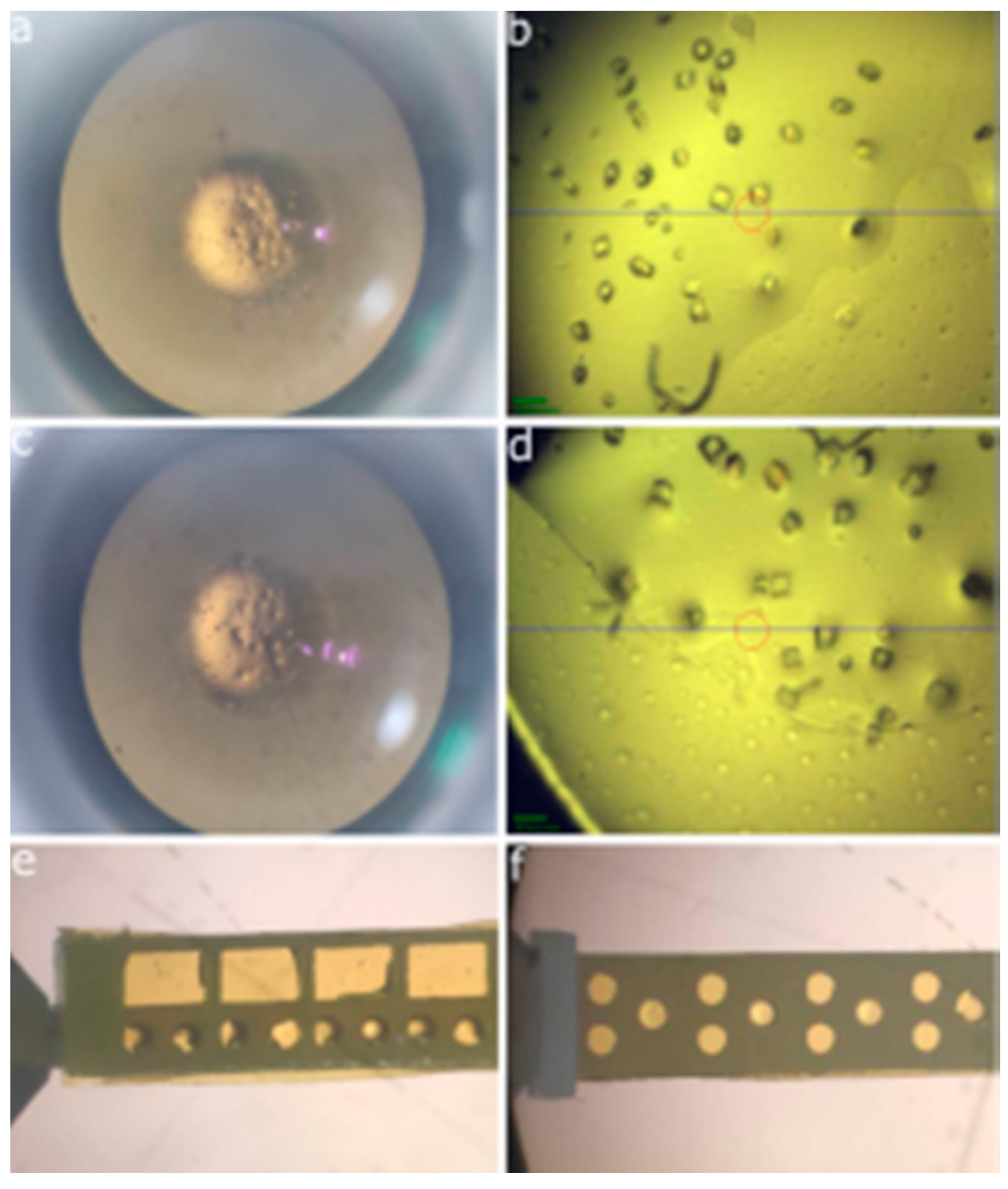 Crystals 10 00798 g002 Crystals 10 00798 g002