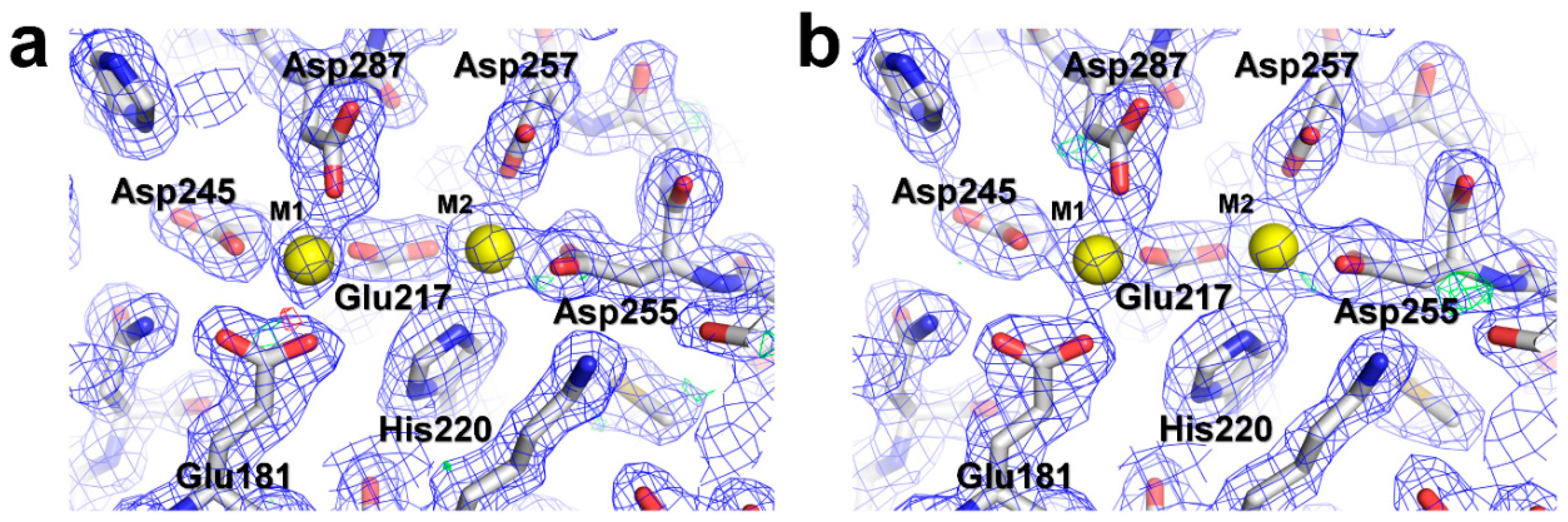 Crystals 10 00803 g006 Crystals 10 00803 g006