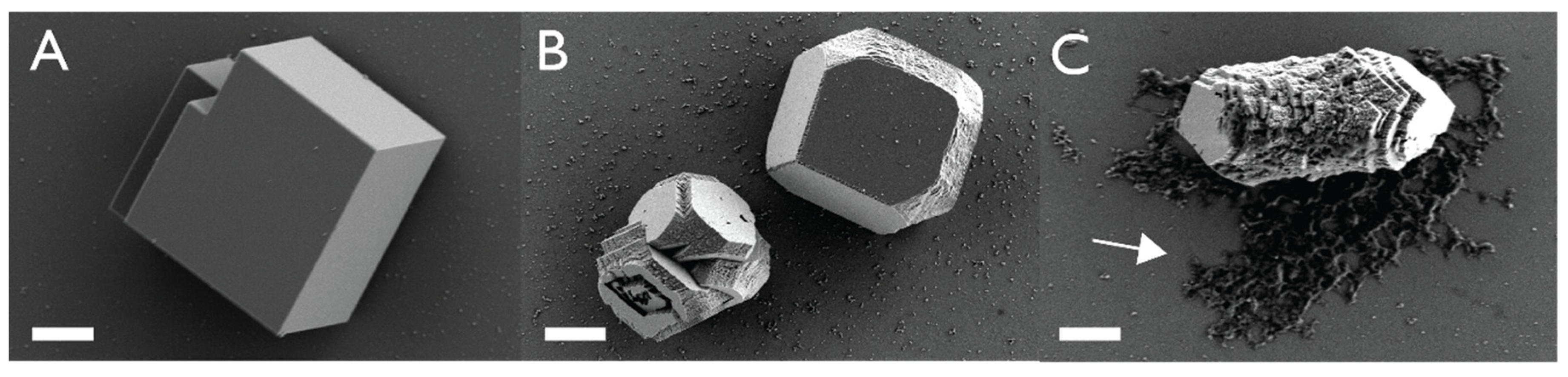 Crystals 10 00818 g001 Crystals 10 00818 g001