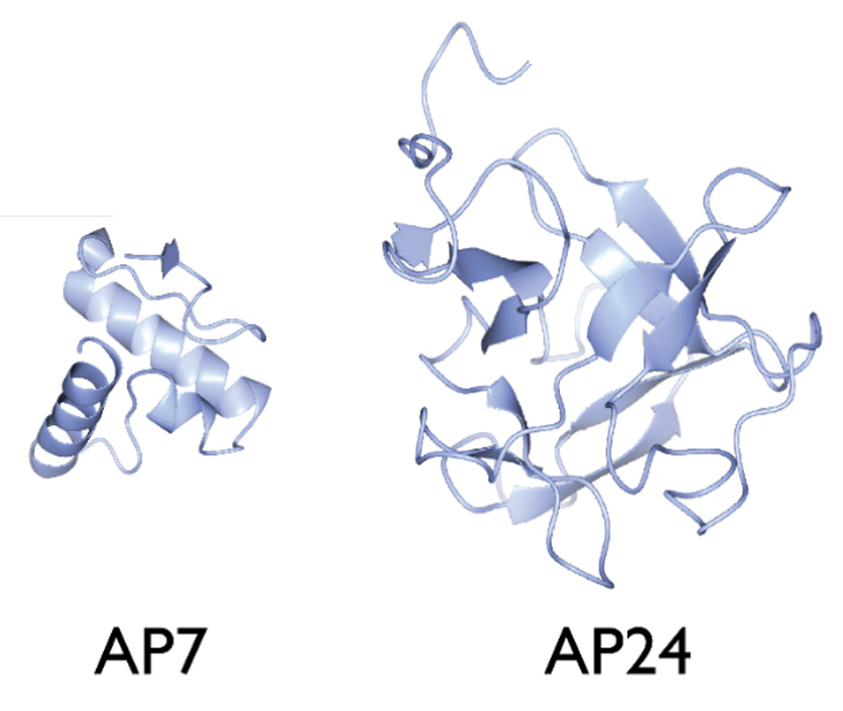 Crystals 10 00818 g003 Crystals 10 00818 g003