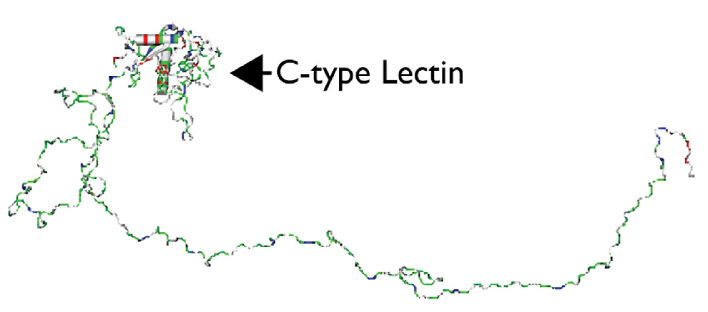 Crystals 10 00818 g004 Crystals 10 00818 g004