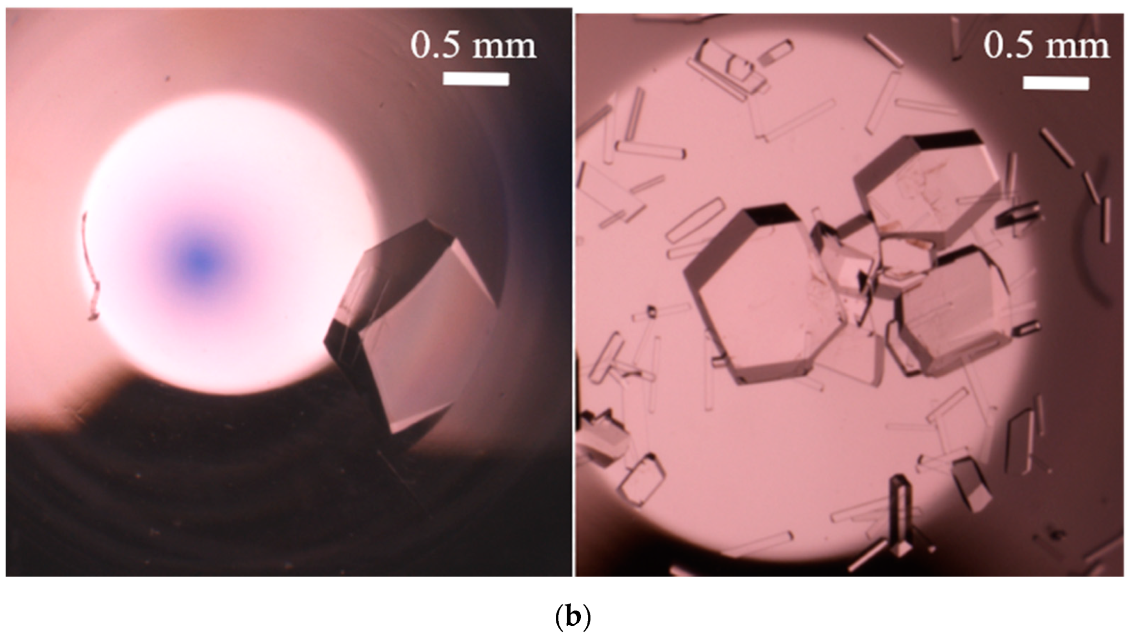 Crystals 10 00821 g004b
