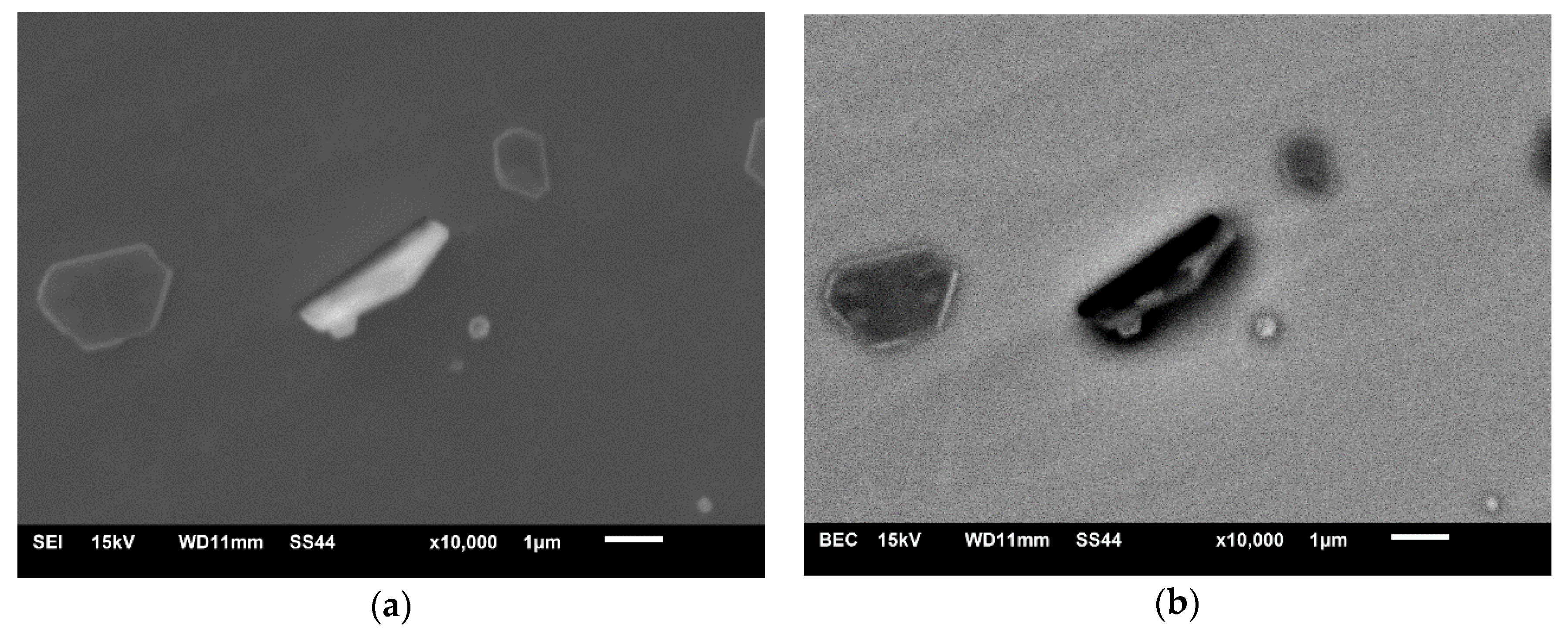 Crystals 10 00836 g010