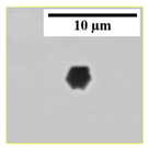 Crystals 10 00836 i003