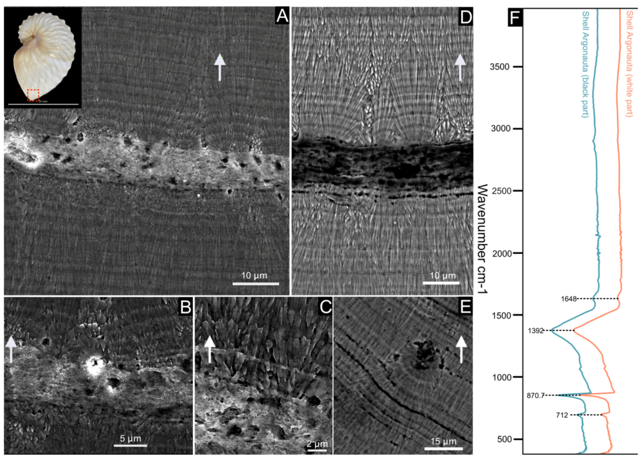 Crystals 10 00839 g002