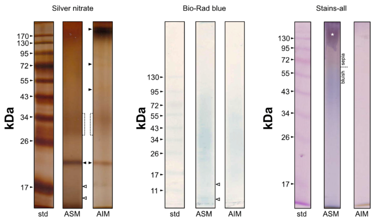 Crystals 10 00839 g007