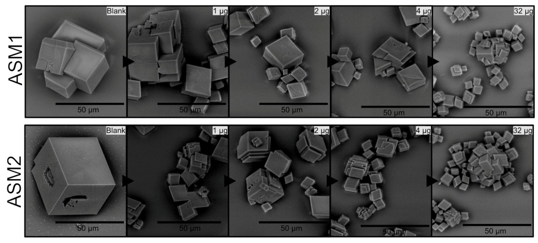 Crystals 10 00839 g008